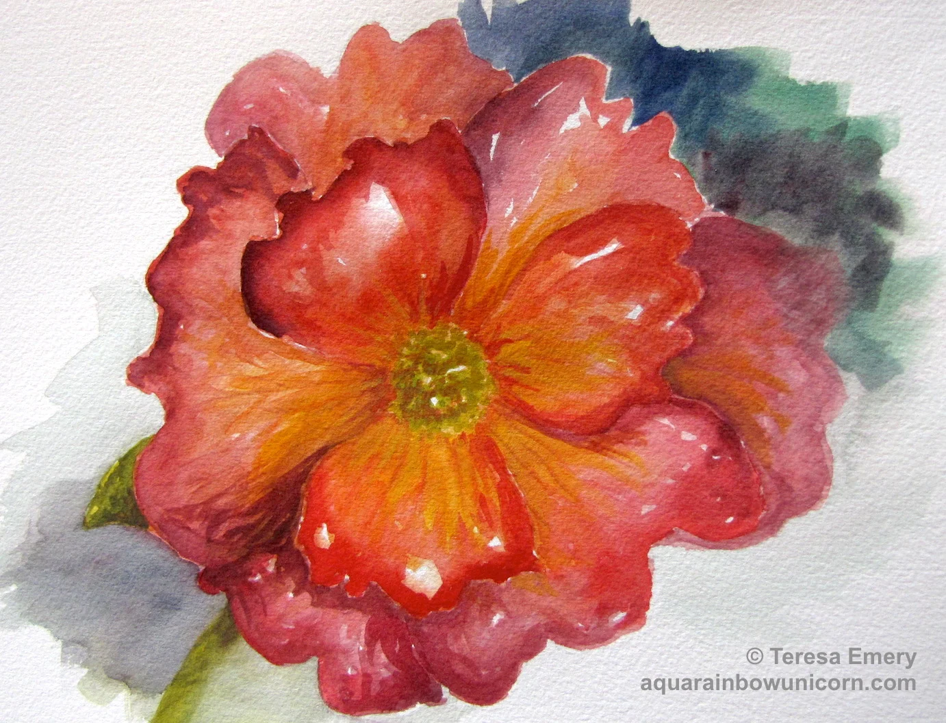 Poppy