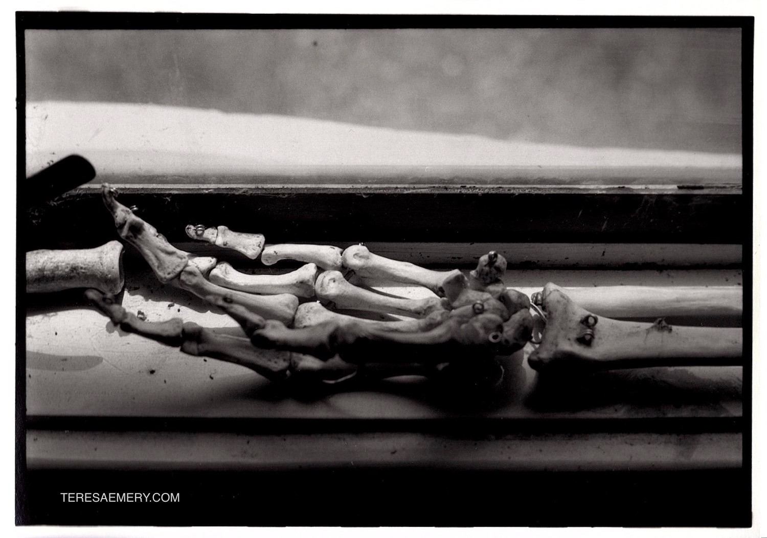 Hand