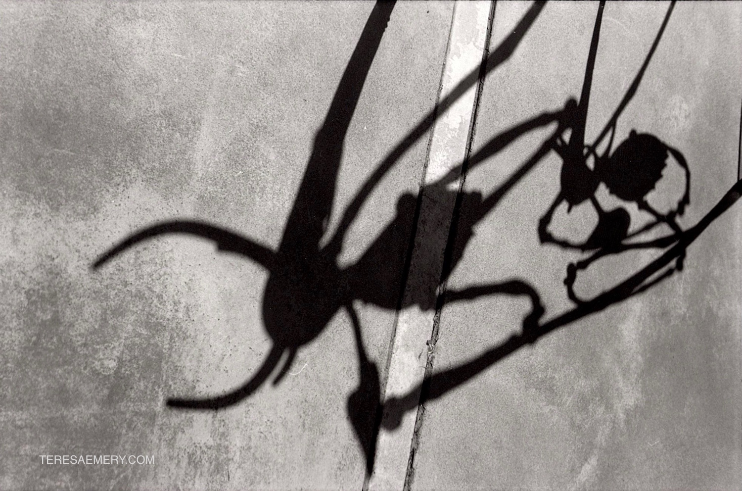 Shadow 1