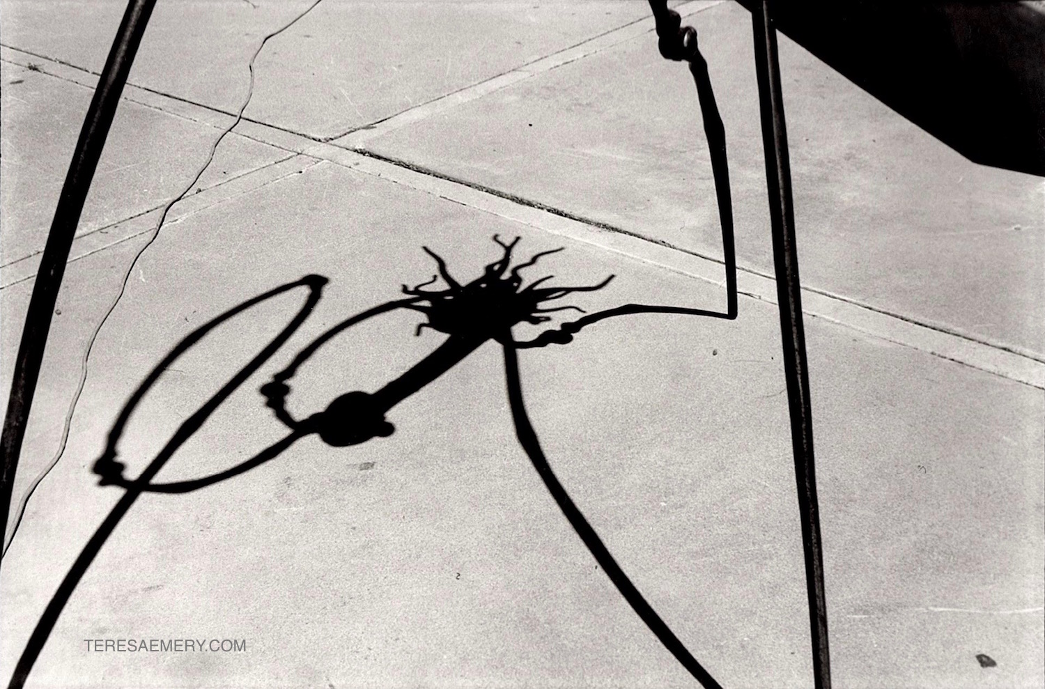 Shadow 2