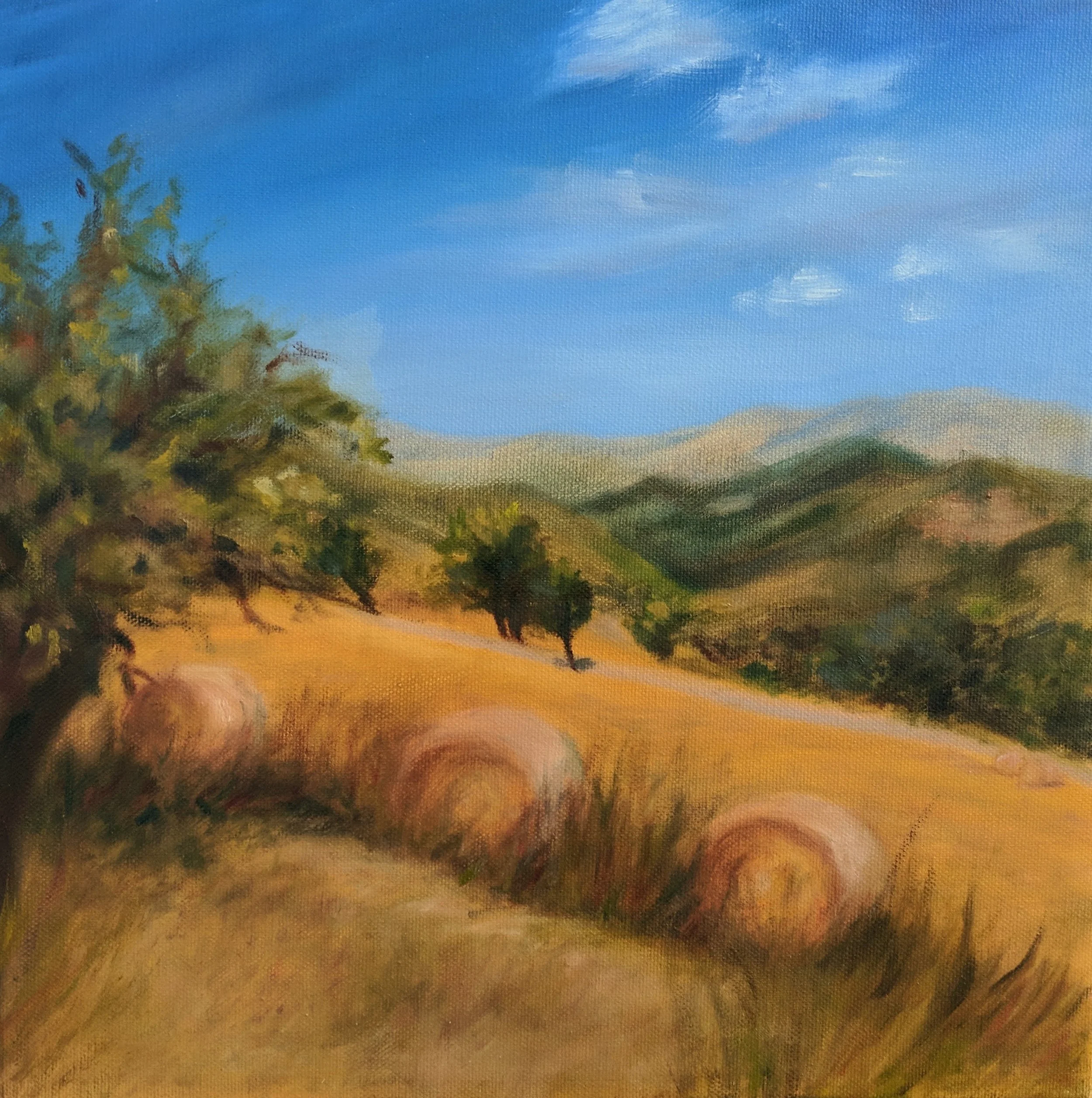 Le Marche I (Il Fieno)