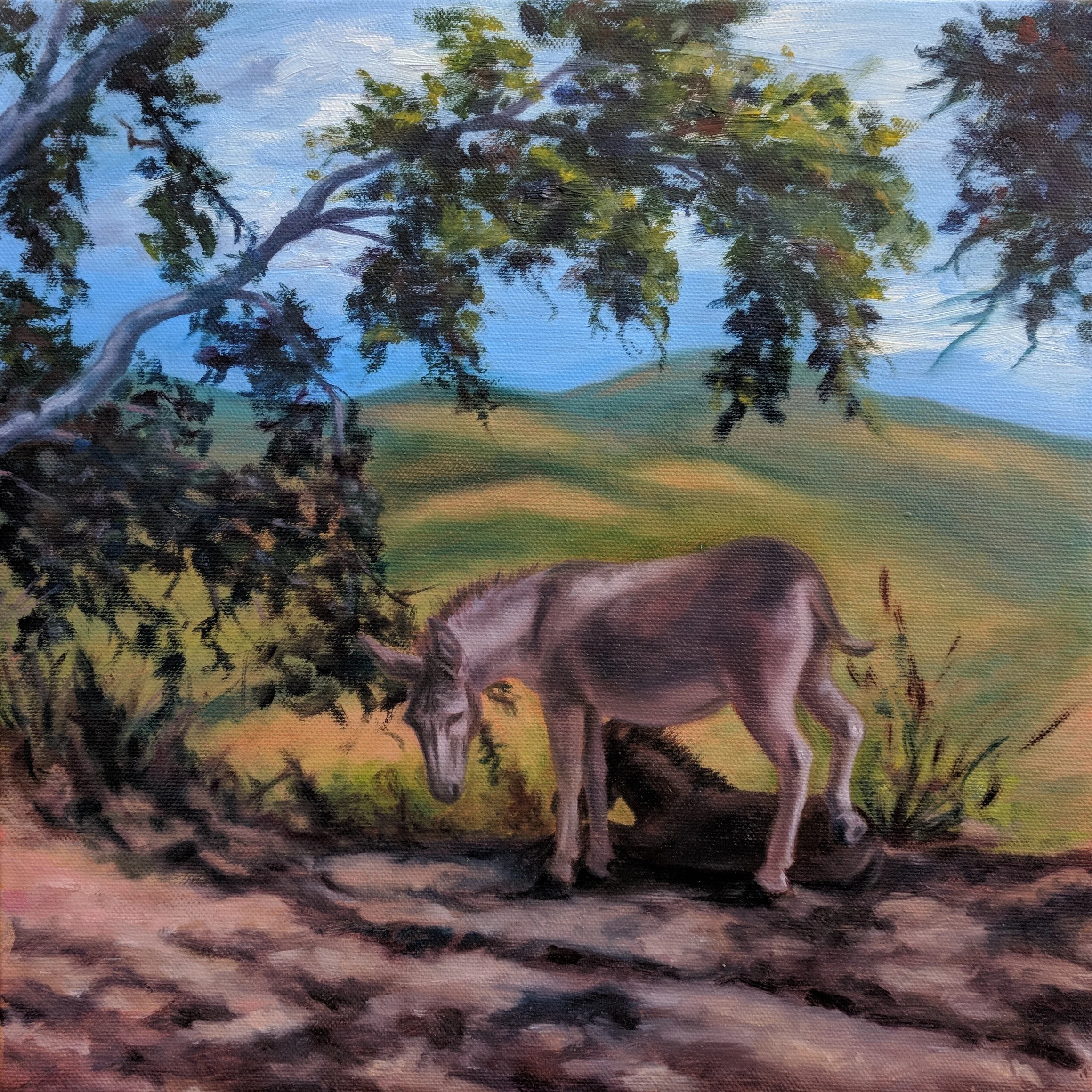 Le Marche III (Gli Asini)