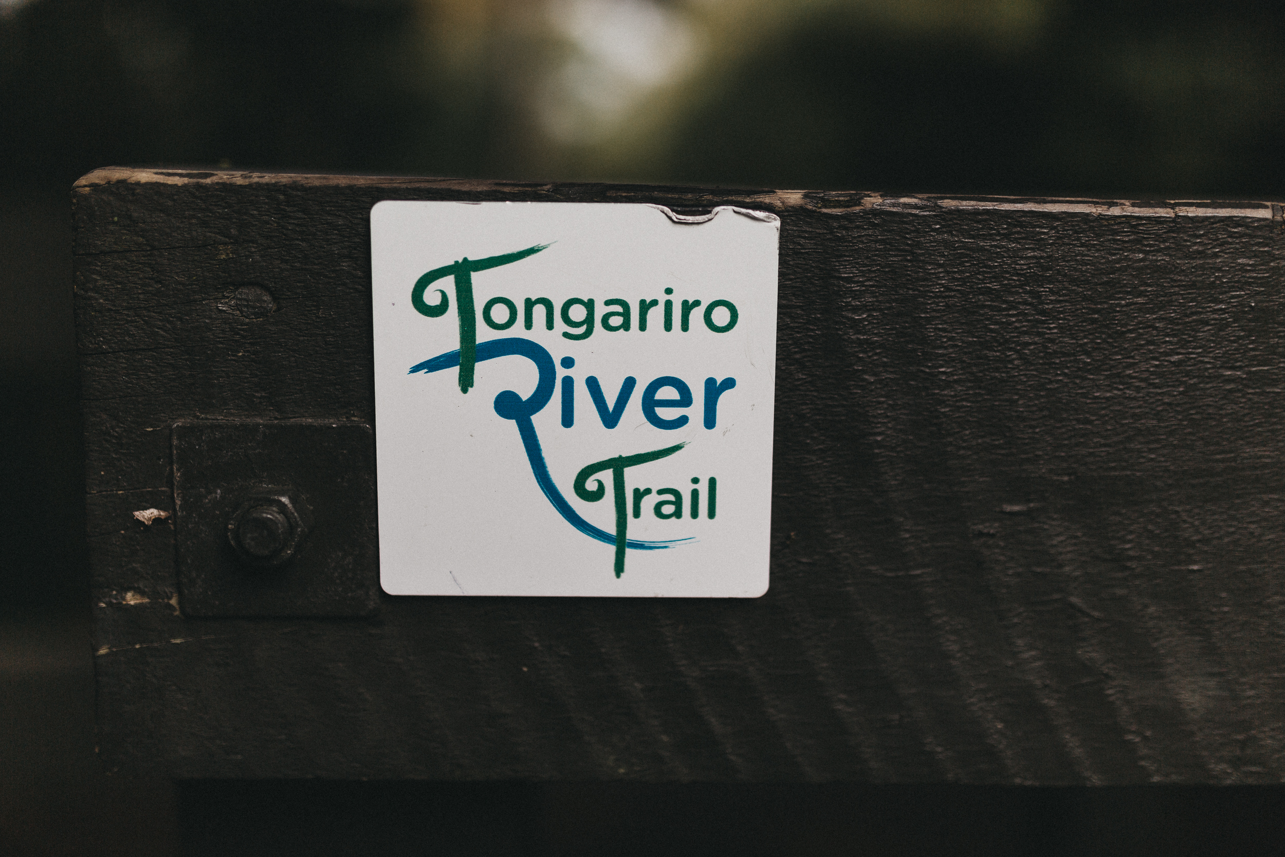 Day Two: the Tongariro River trail departing from Turangi, an easy walk along the river (10 min drive from Pukawa Bay).