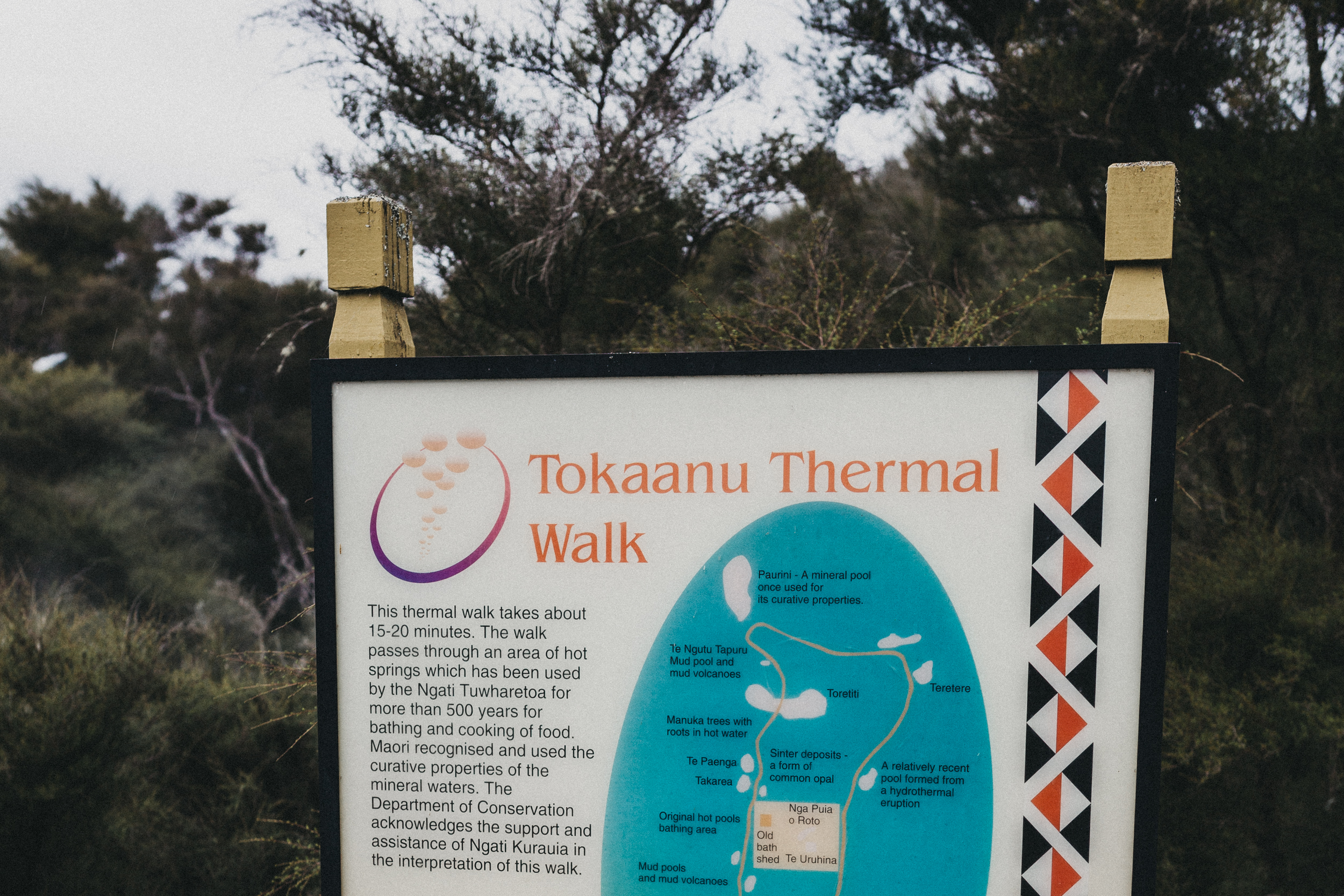 Day Three: checking out the local geothermal walk at Tokaanu (5 min drive from Pukawa Bay). 