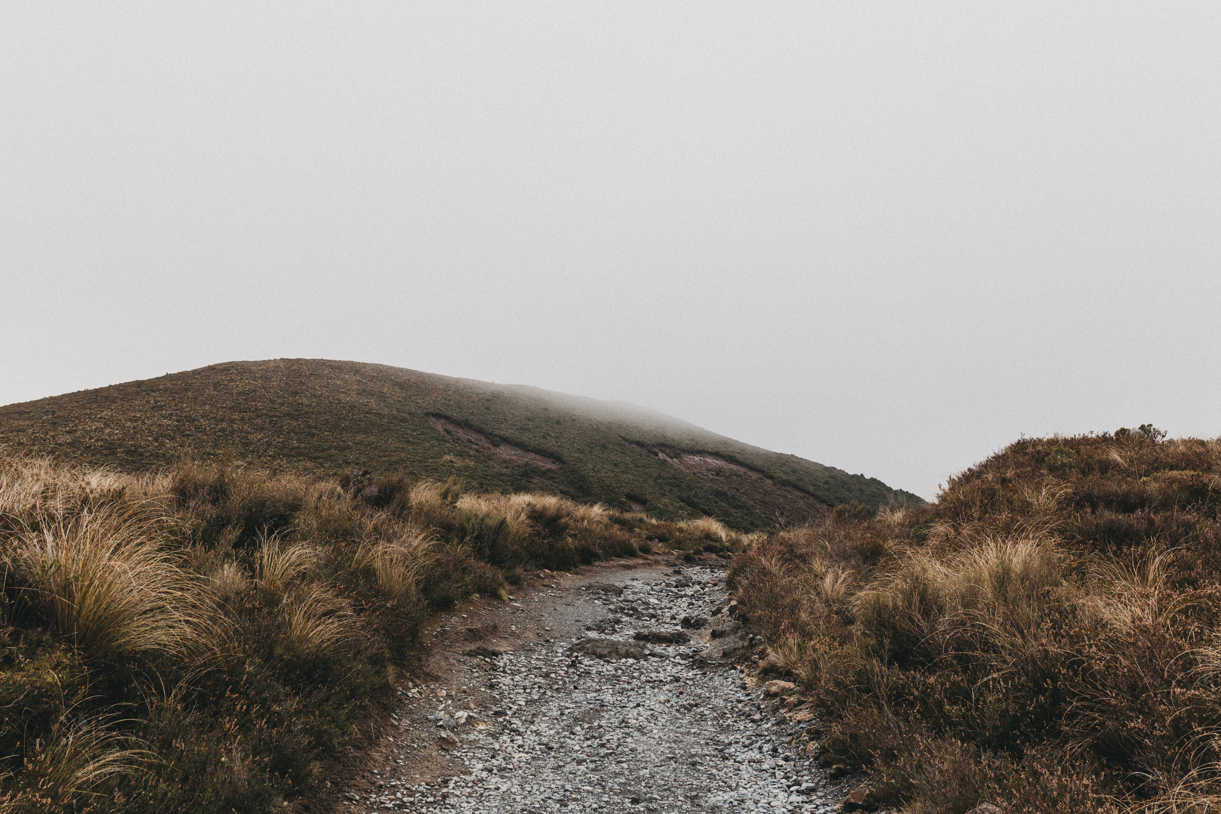 Day Four: beginning our walk to Soda Springs with minimal visibility in the distance.