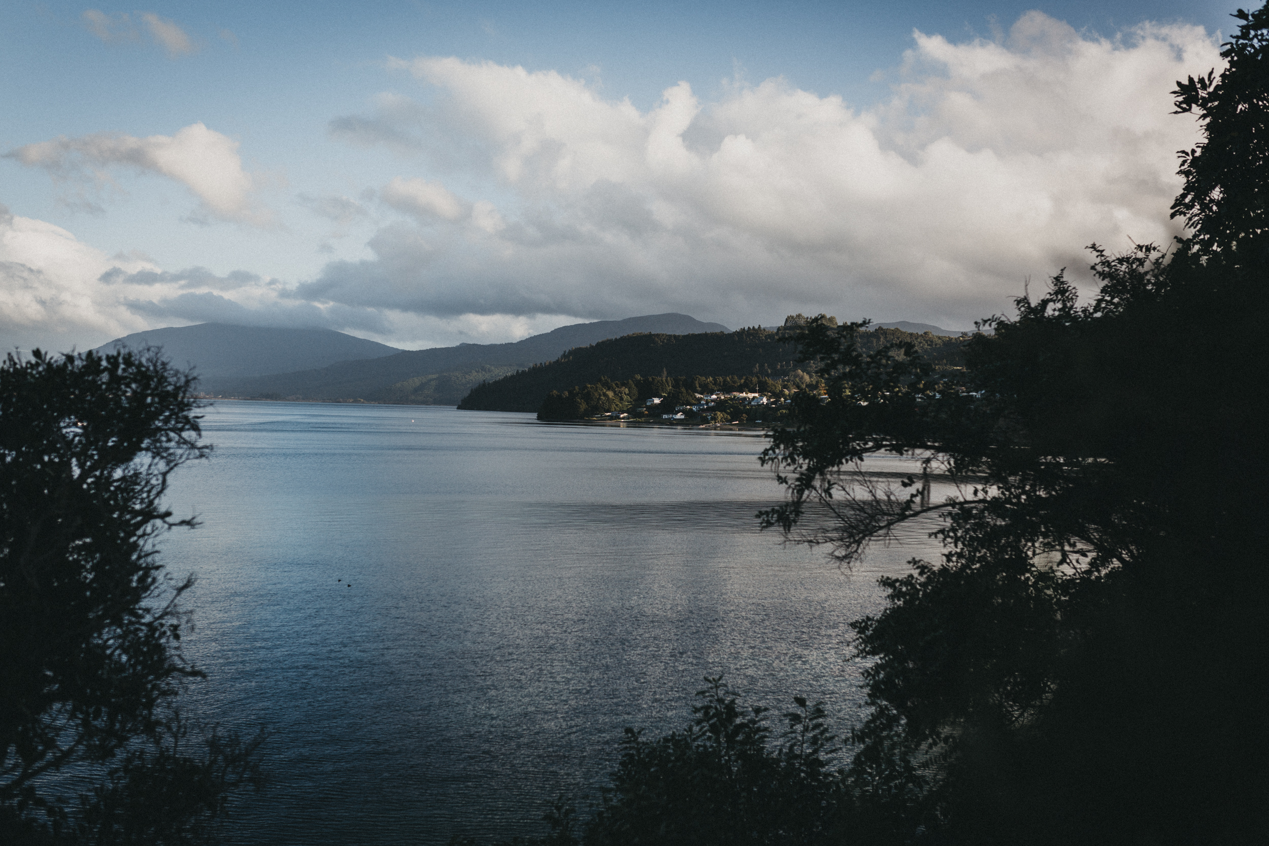 Day Six: a morning stroll before heading to the airport, views over Lake Taupo as we walk the Pukawa to Omori track (3km return).