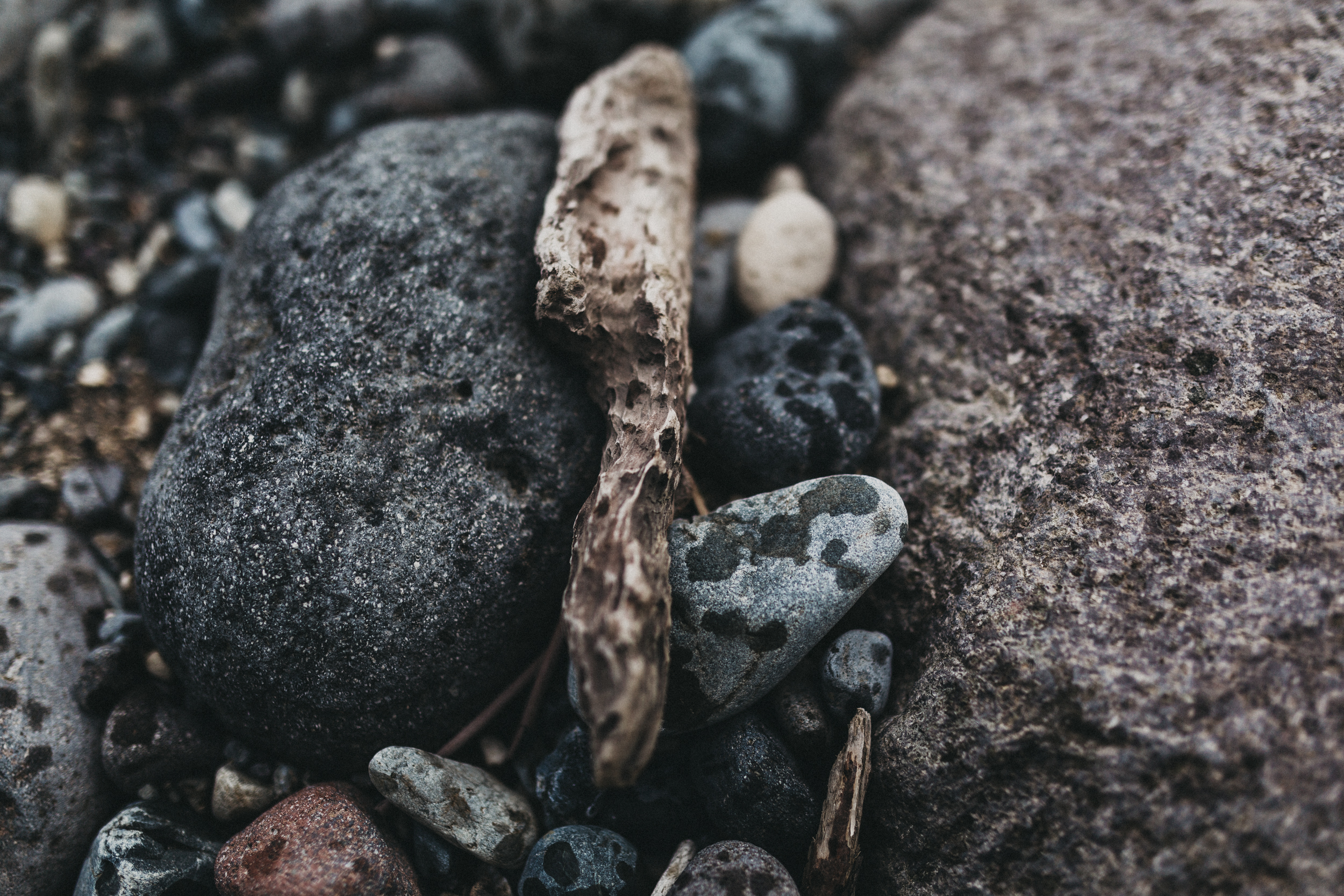 Day Two: the rain starts to fall on the volcanic rocks and driftwood.