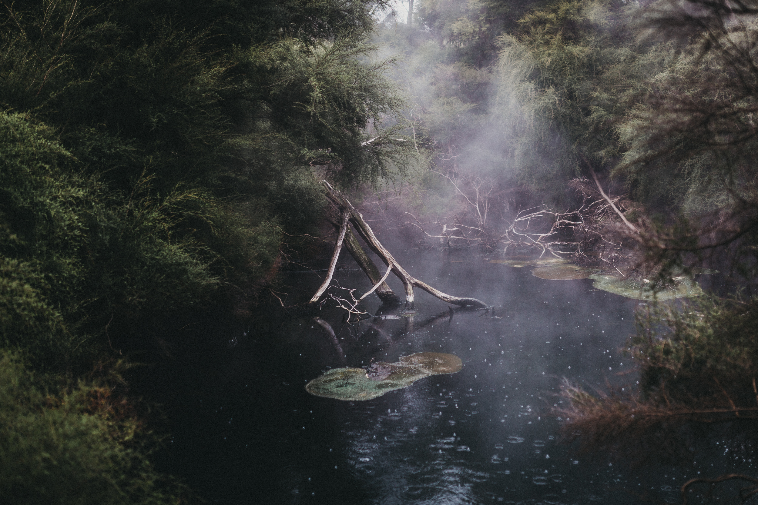 Day Three: a thermal pool that would lead anyone with an active imagination to think they are about to meet a fairy/dinosaur/Hobbit/Yoda!