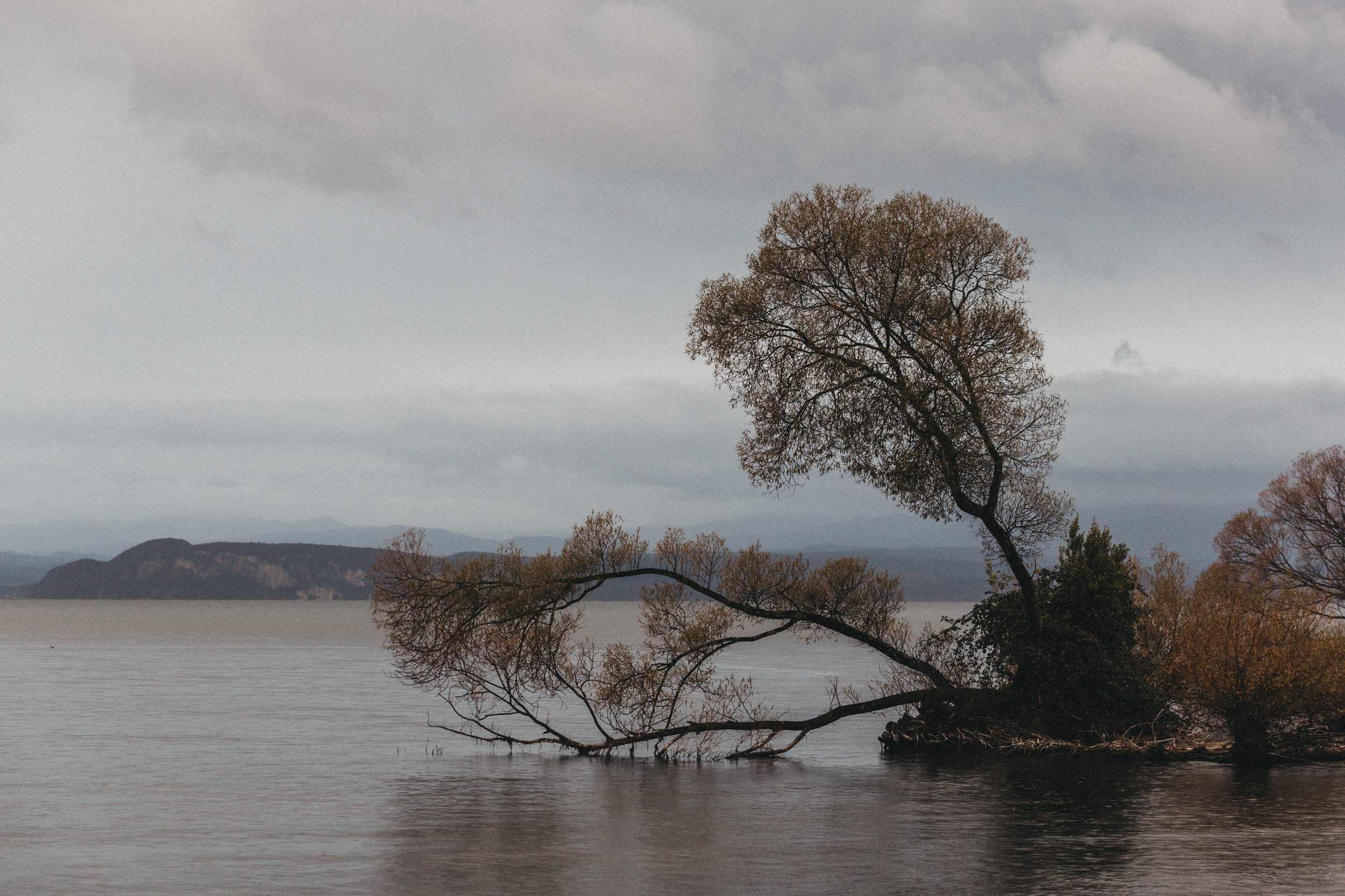 Day Three: a short drive to the neighbouring town of Omari, 5 min drive north of Pukawa Bay.