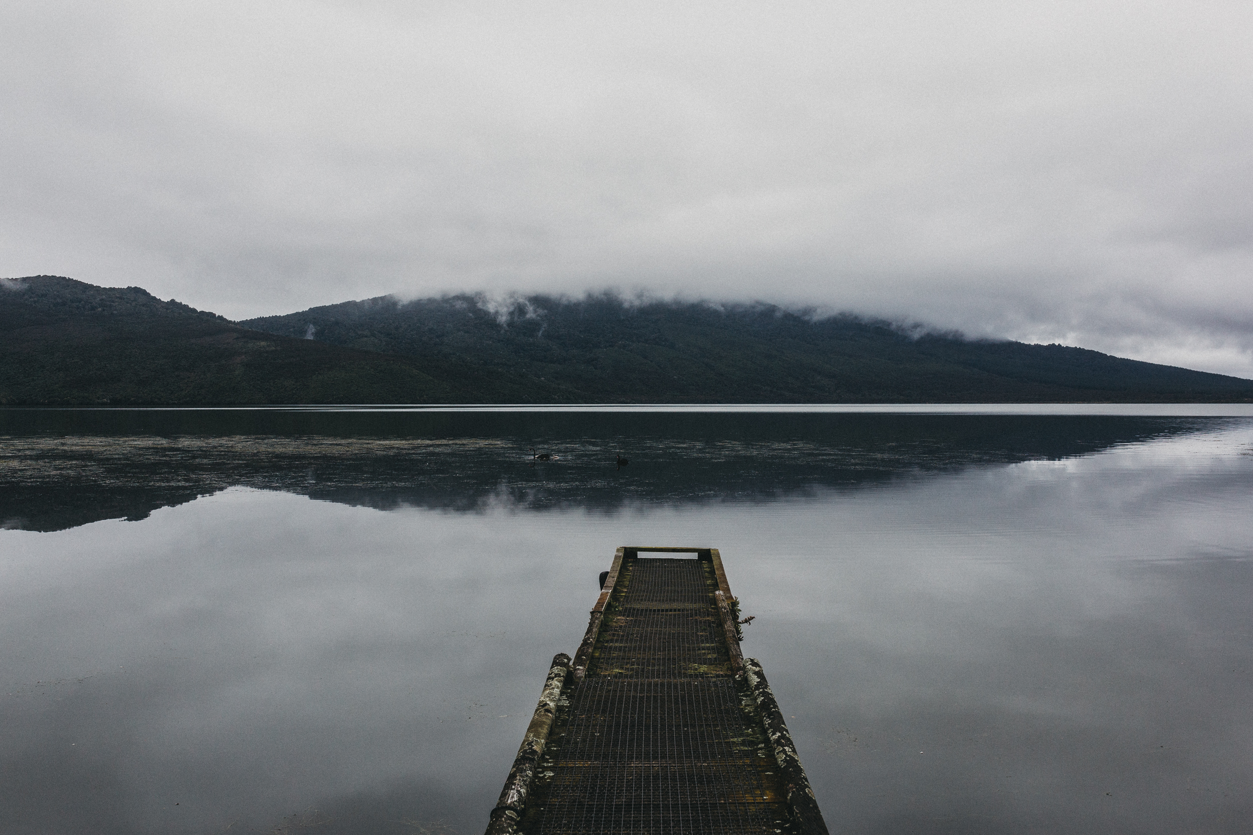 Day Four: Morning views onto Lake Rotoaira along the road to Mount Tongariro.