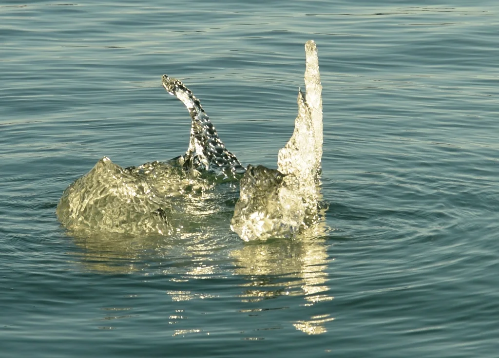 DSC_1608.JPG