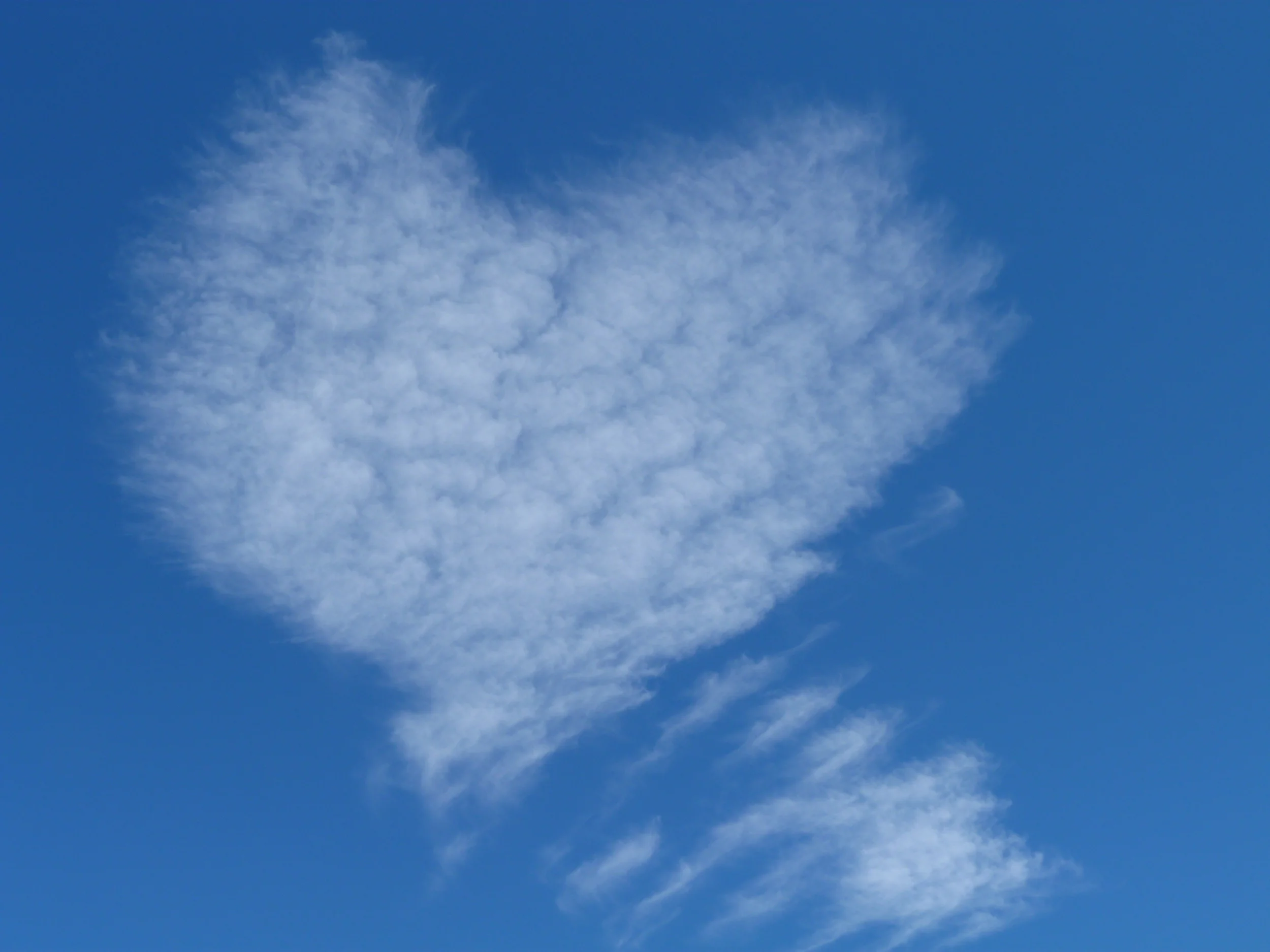 AN_light hearted.JPG