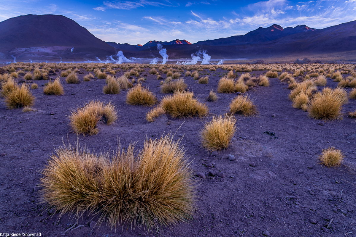 Tatio Gysers, Atamacama Desert, Chile