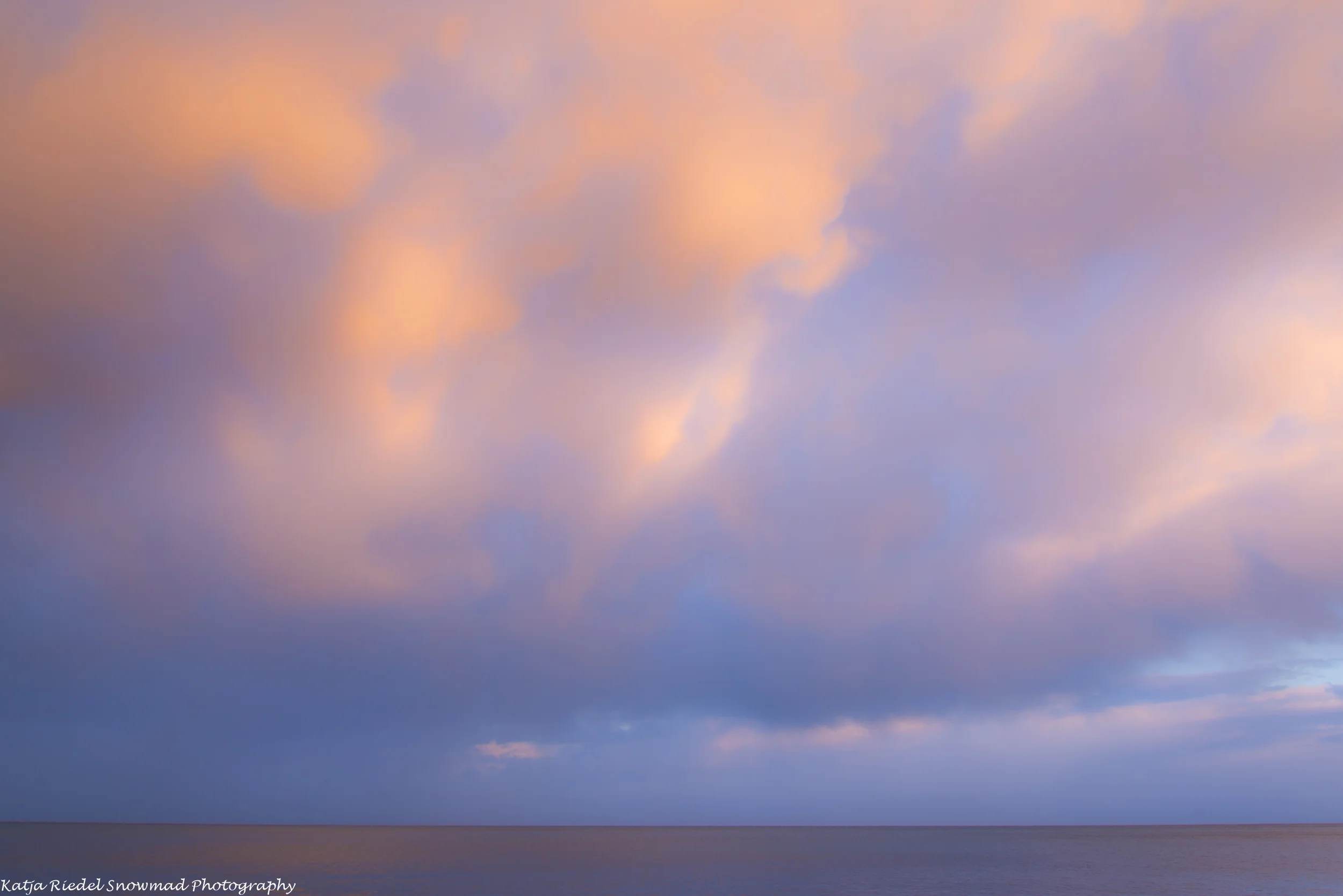DSC_1686.jpg