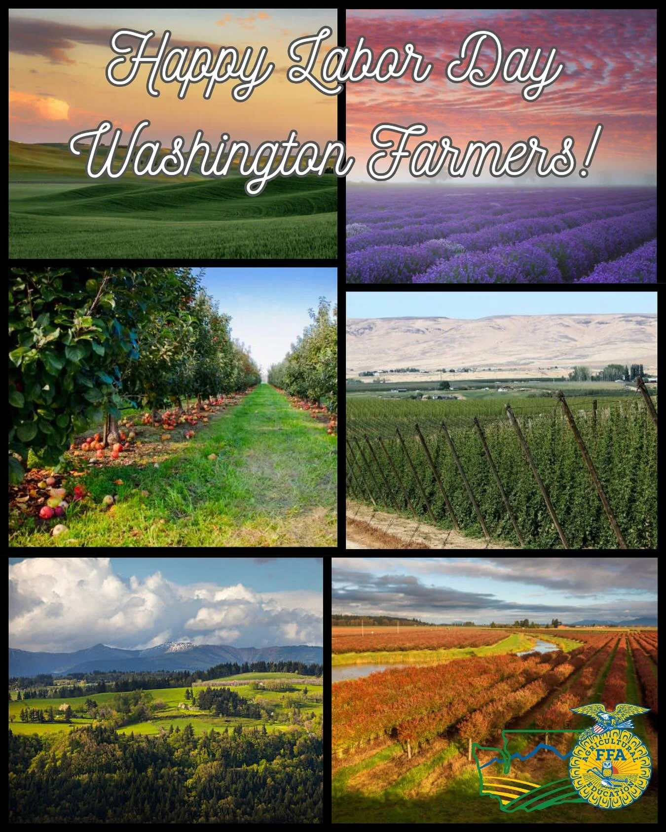 From East to West, Washington State has some of the best! 🌾🌲

The Washington FFA Association would like to give a HUGE shout out to all our farmers and supporters of the agricultural industry!

Thanks for all your hard work and Happy Labor Day! 💛?