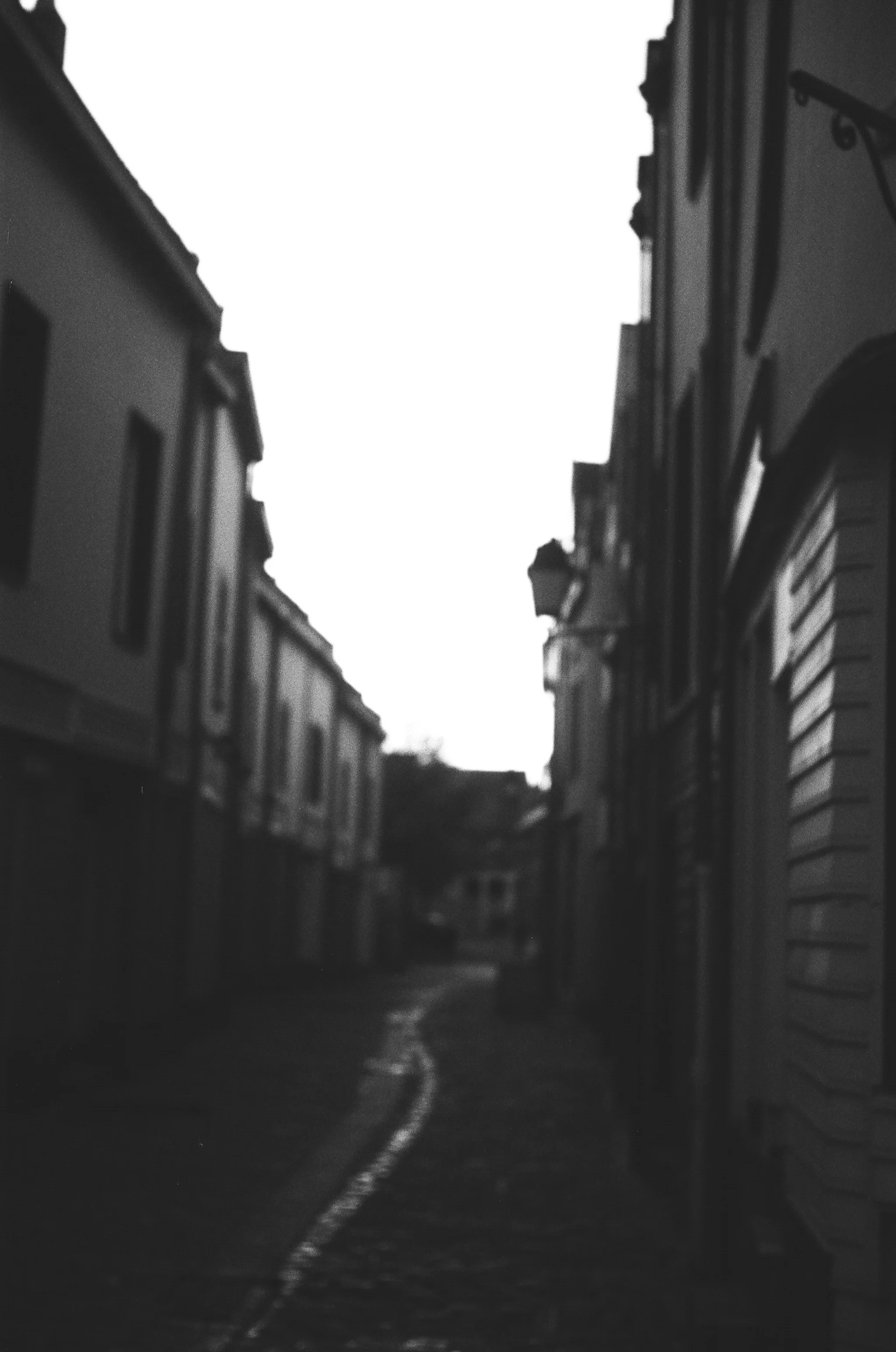 25580029.jpg
