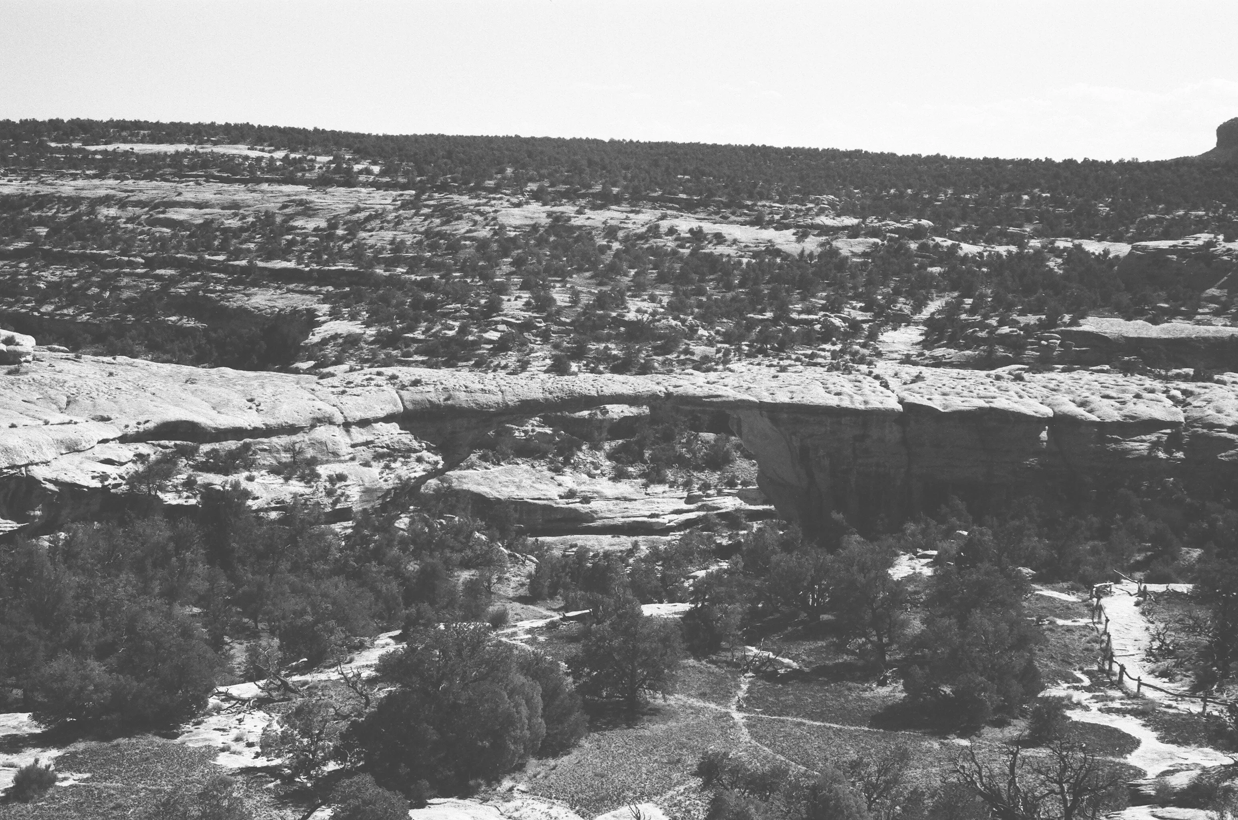 11920035.jpg