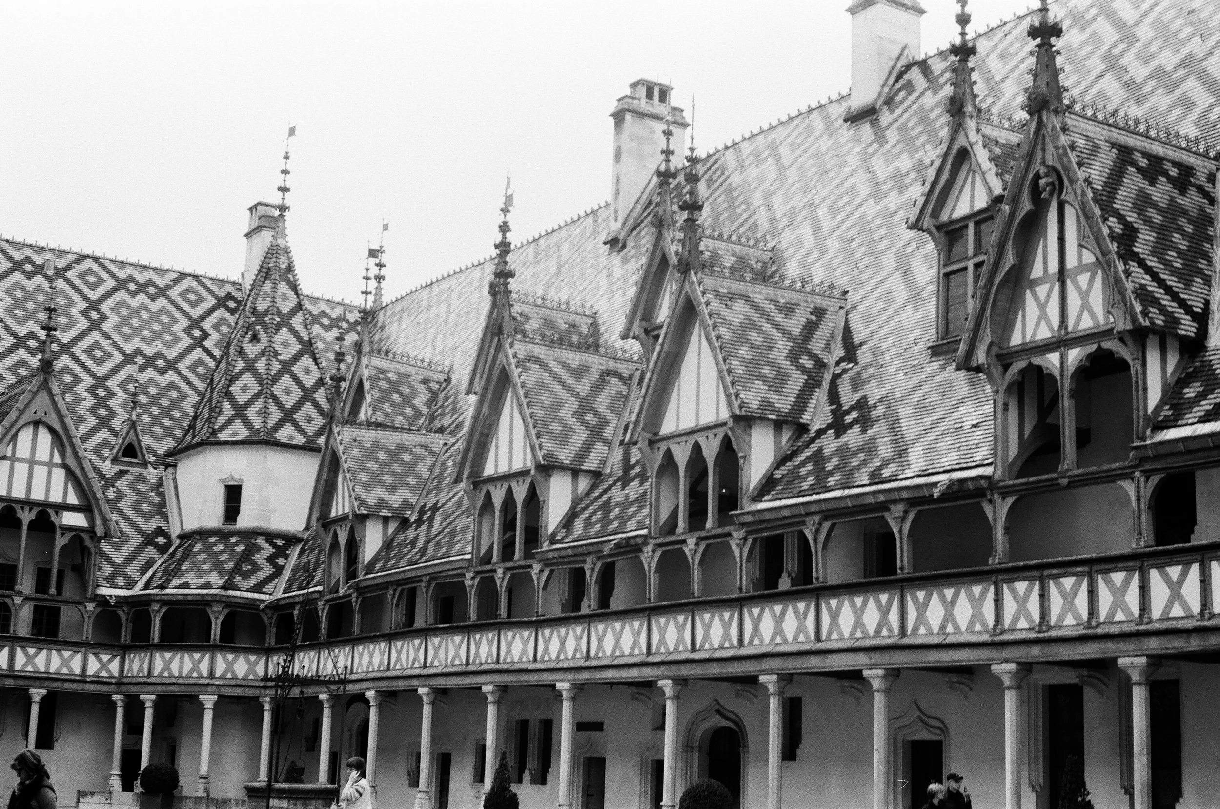 25530035.jpg