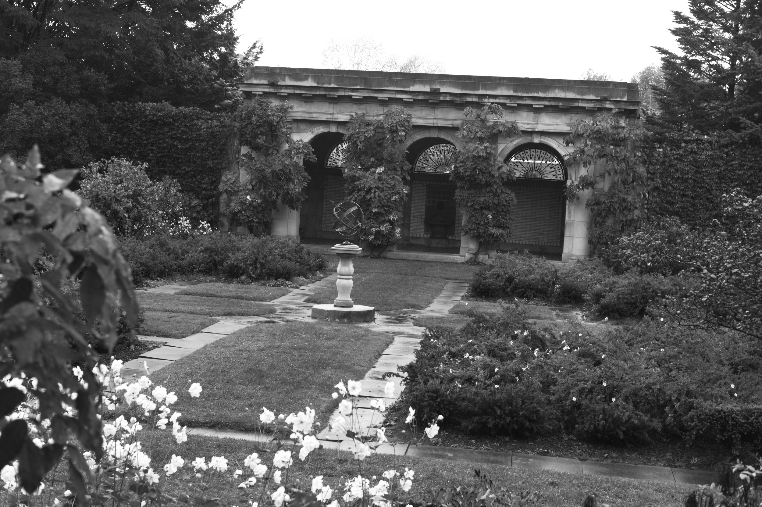 L1000359.jpg