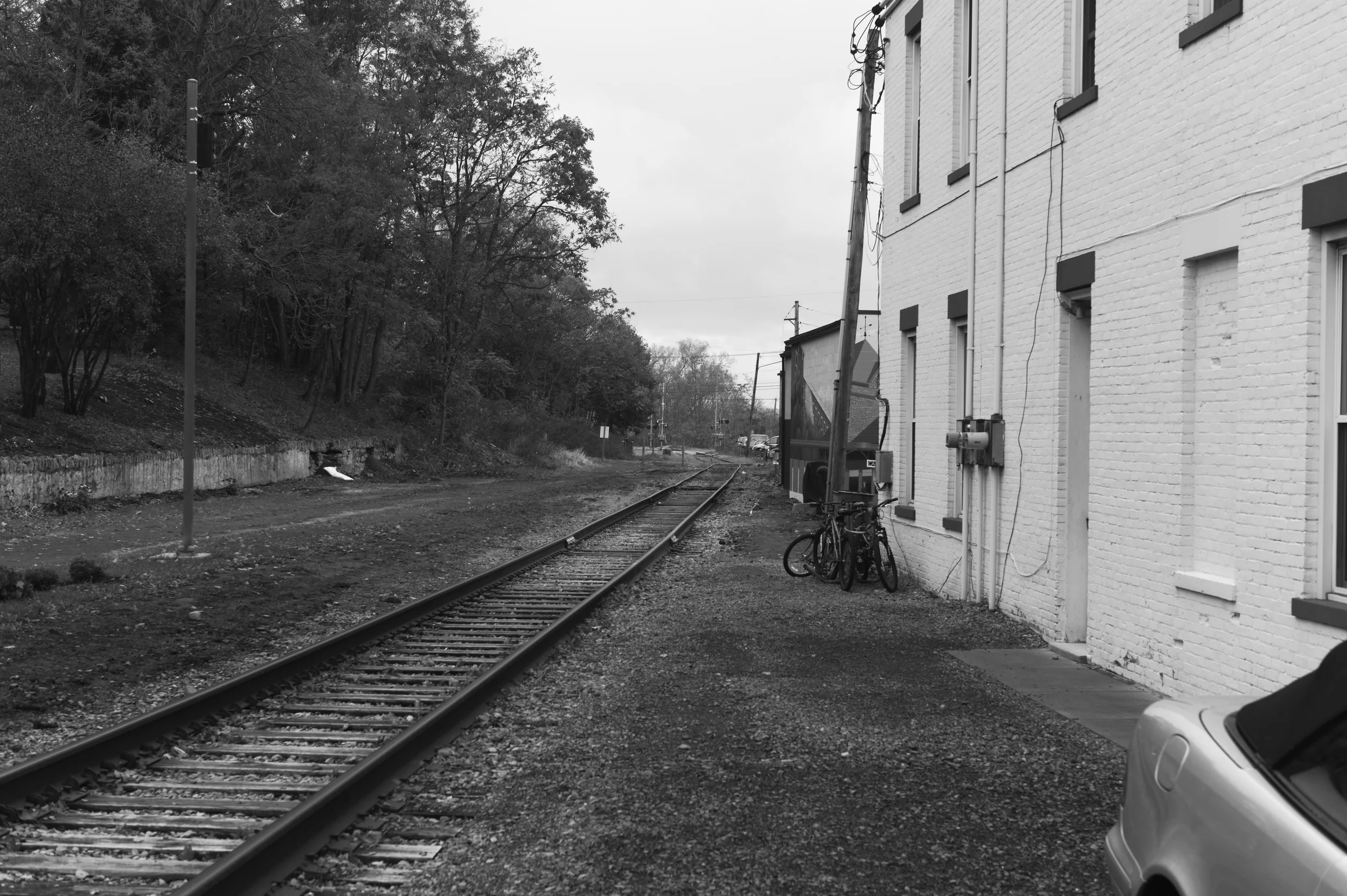 L1000393.jpg