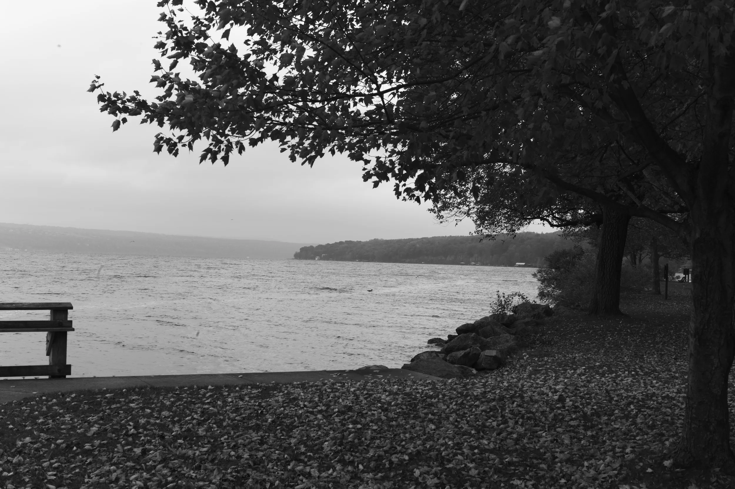 L1000406.jpg