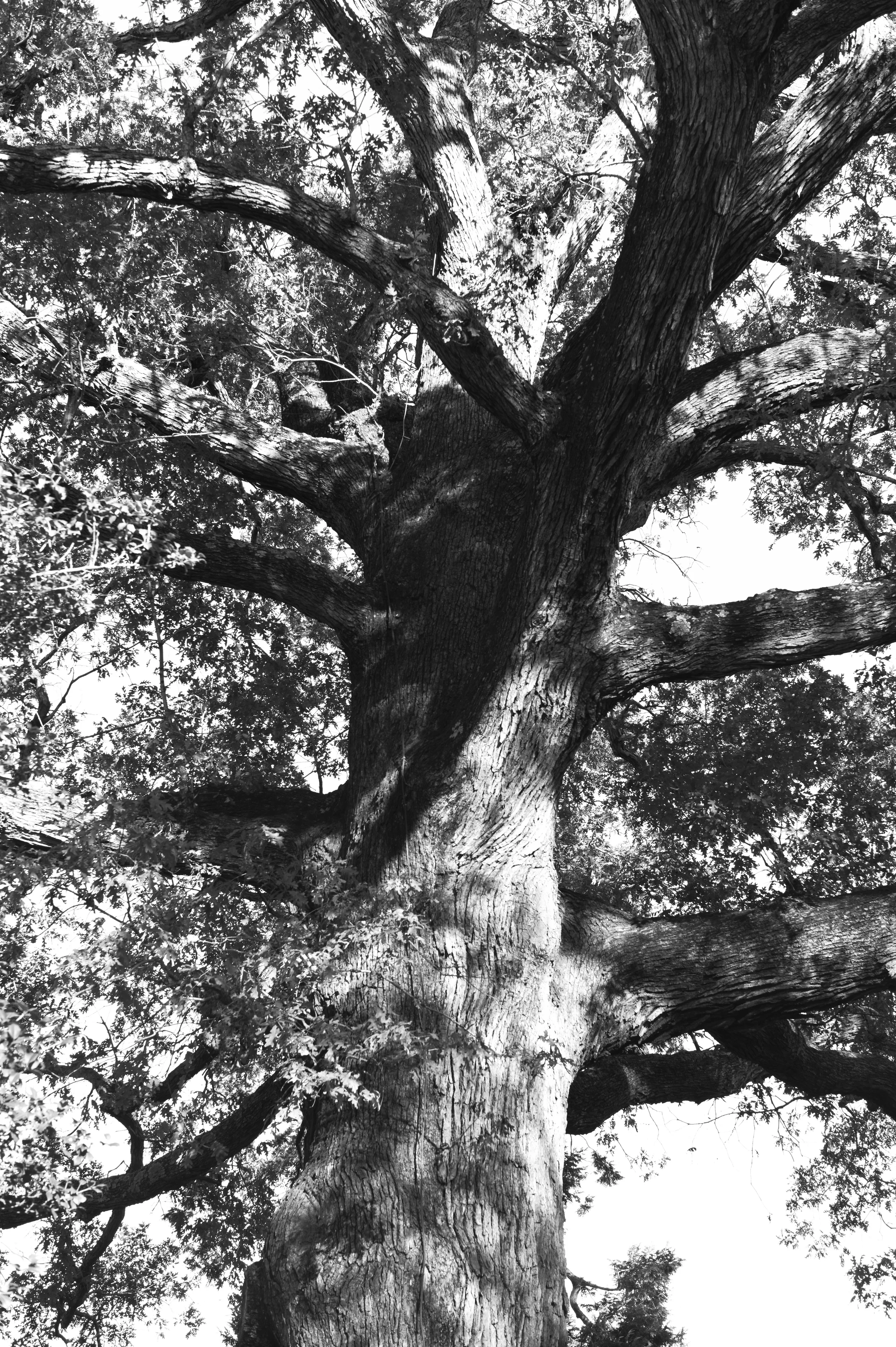 L1000581.jpg
