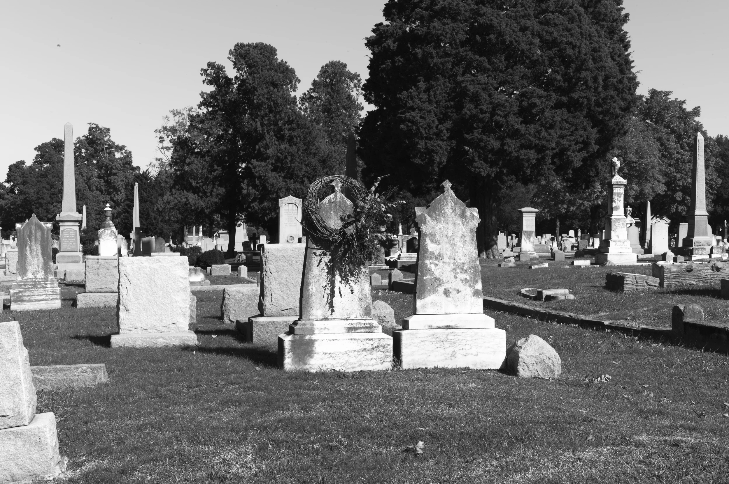 L1000608.jpg