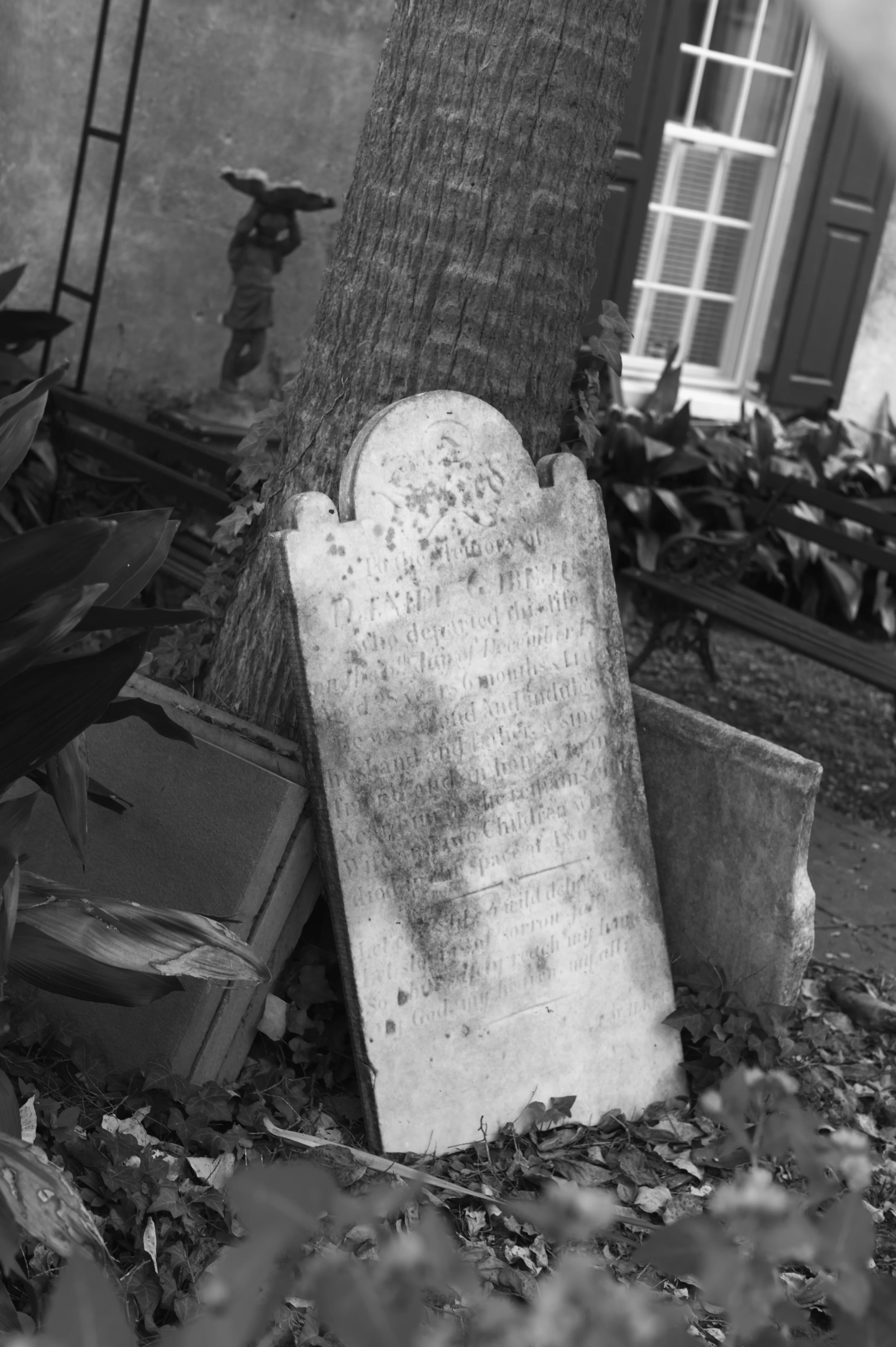 L1000655.jpg