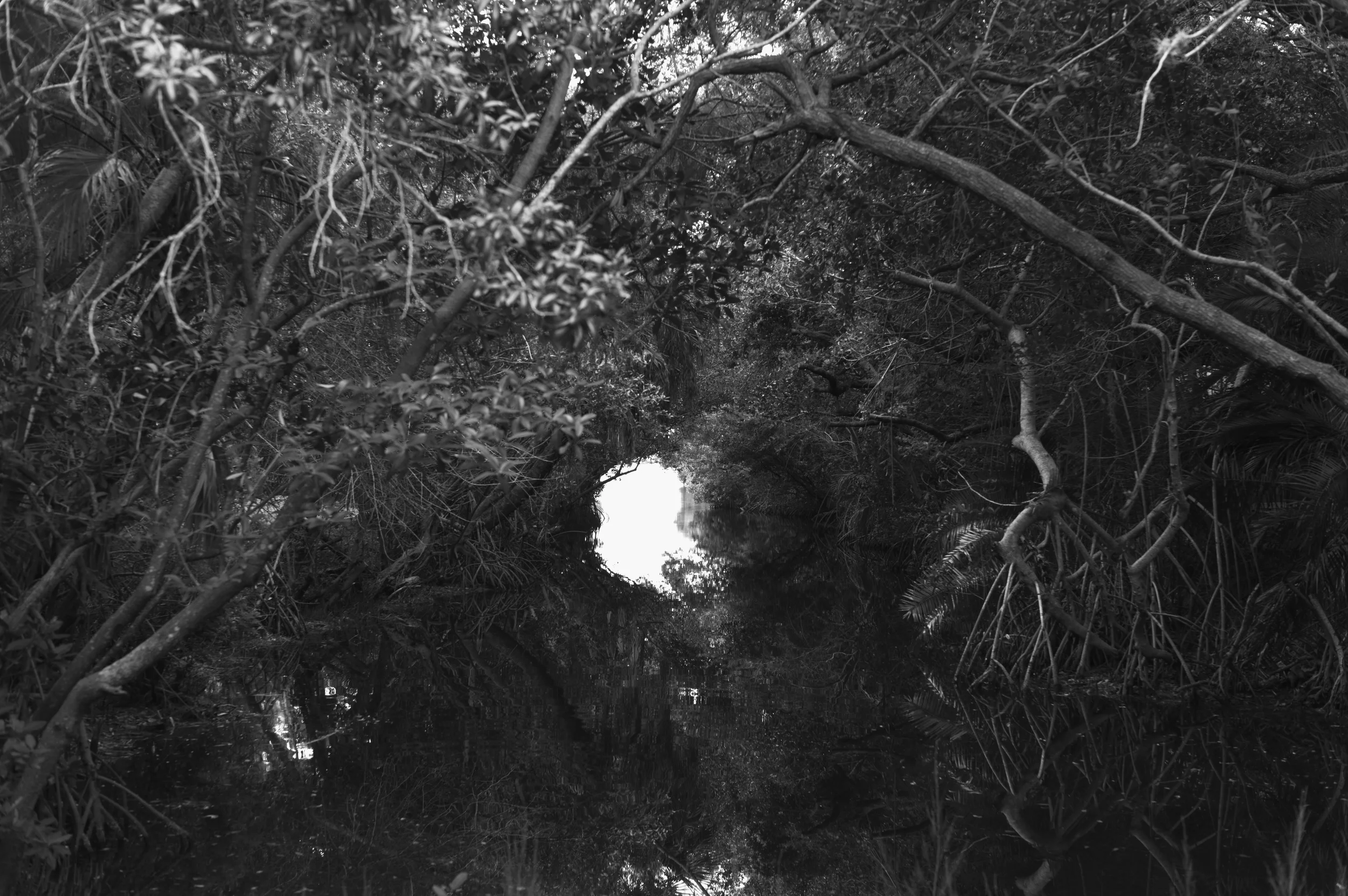 L1000874.jpg