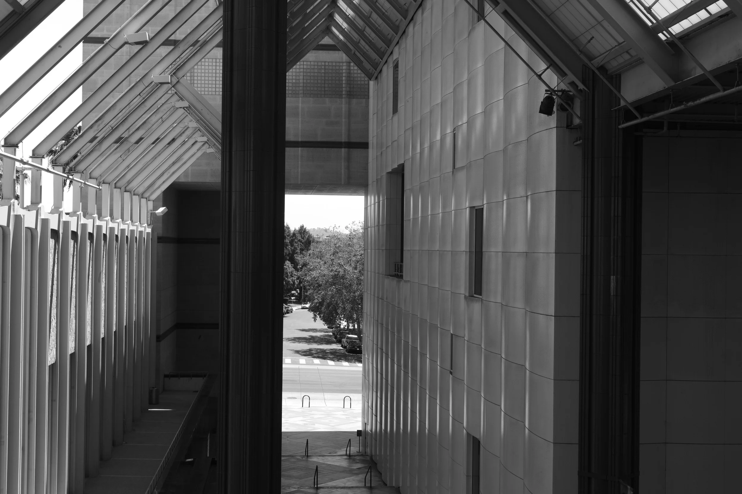 L1001137.jpg