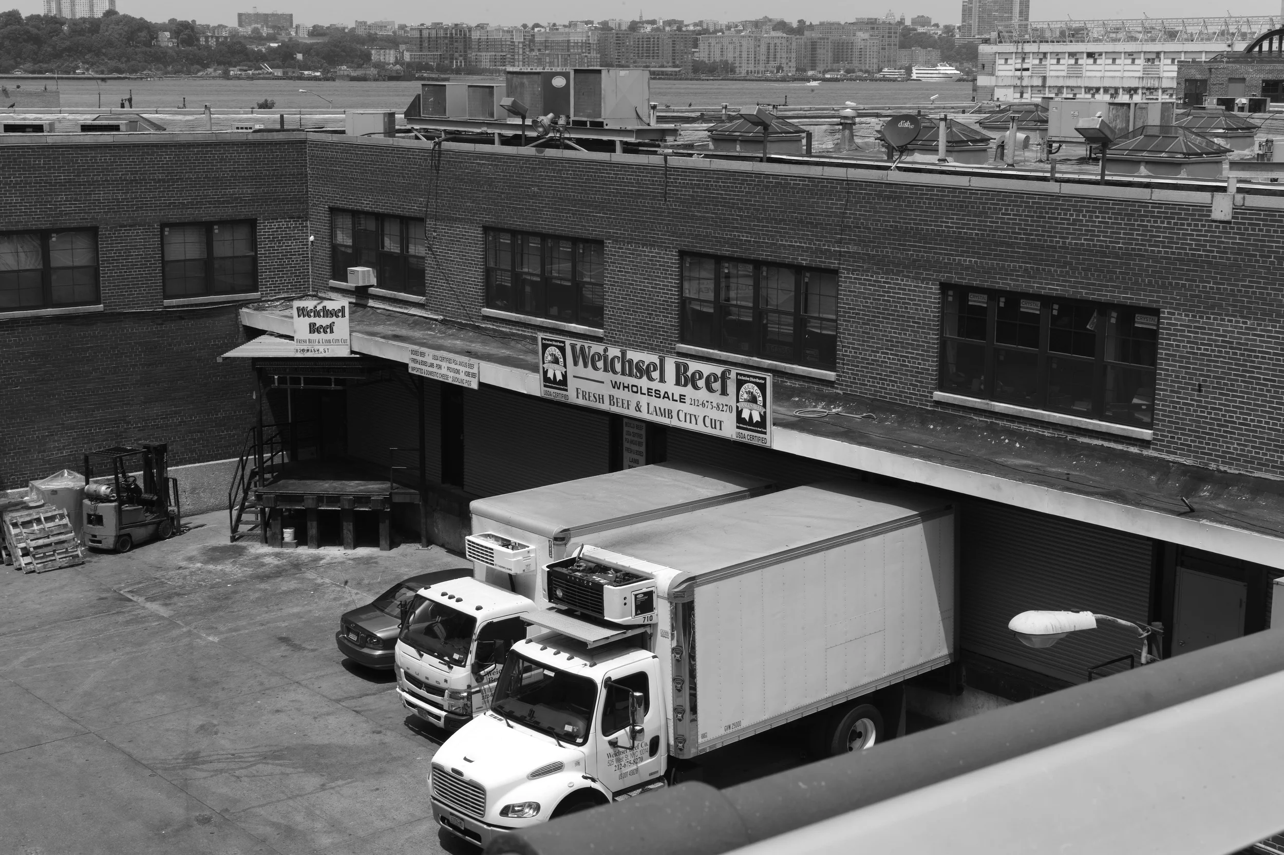 L1001222.jpg