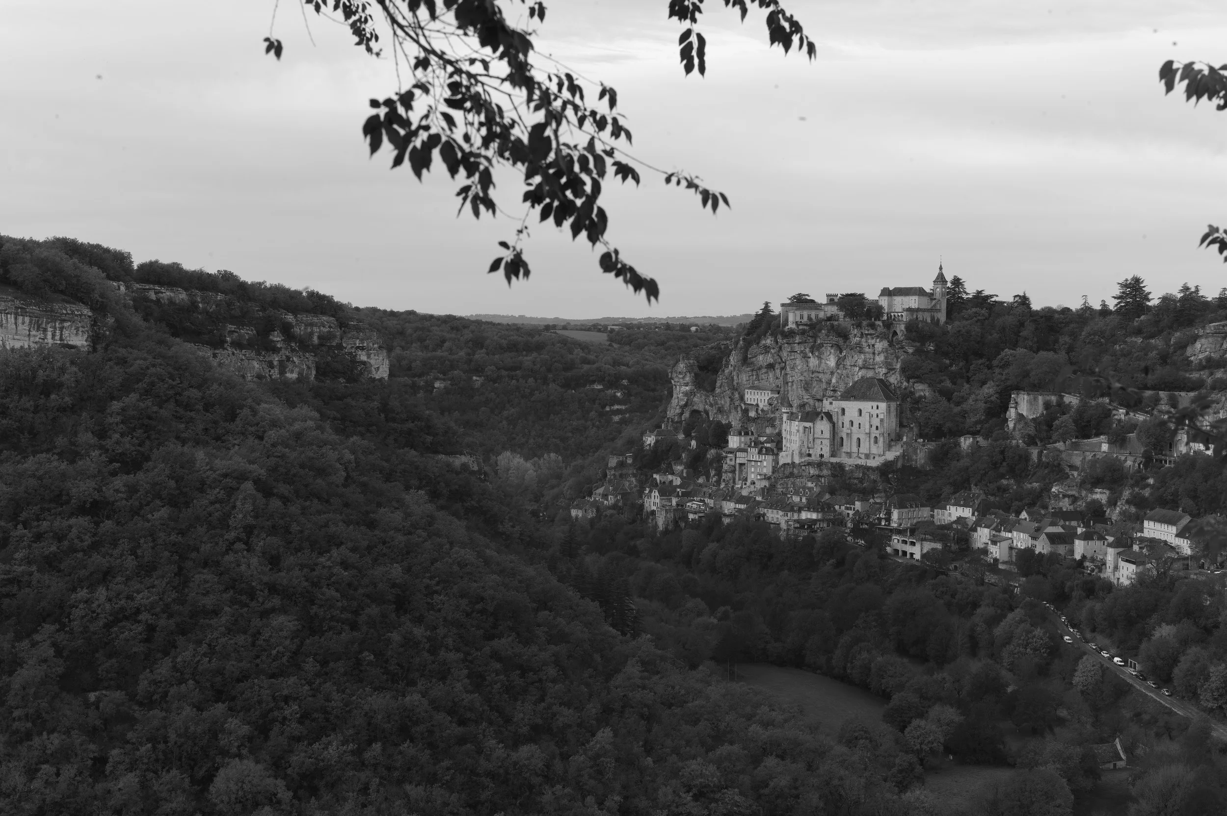 L1001827.jpg