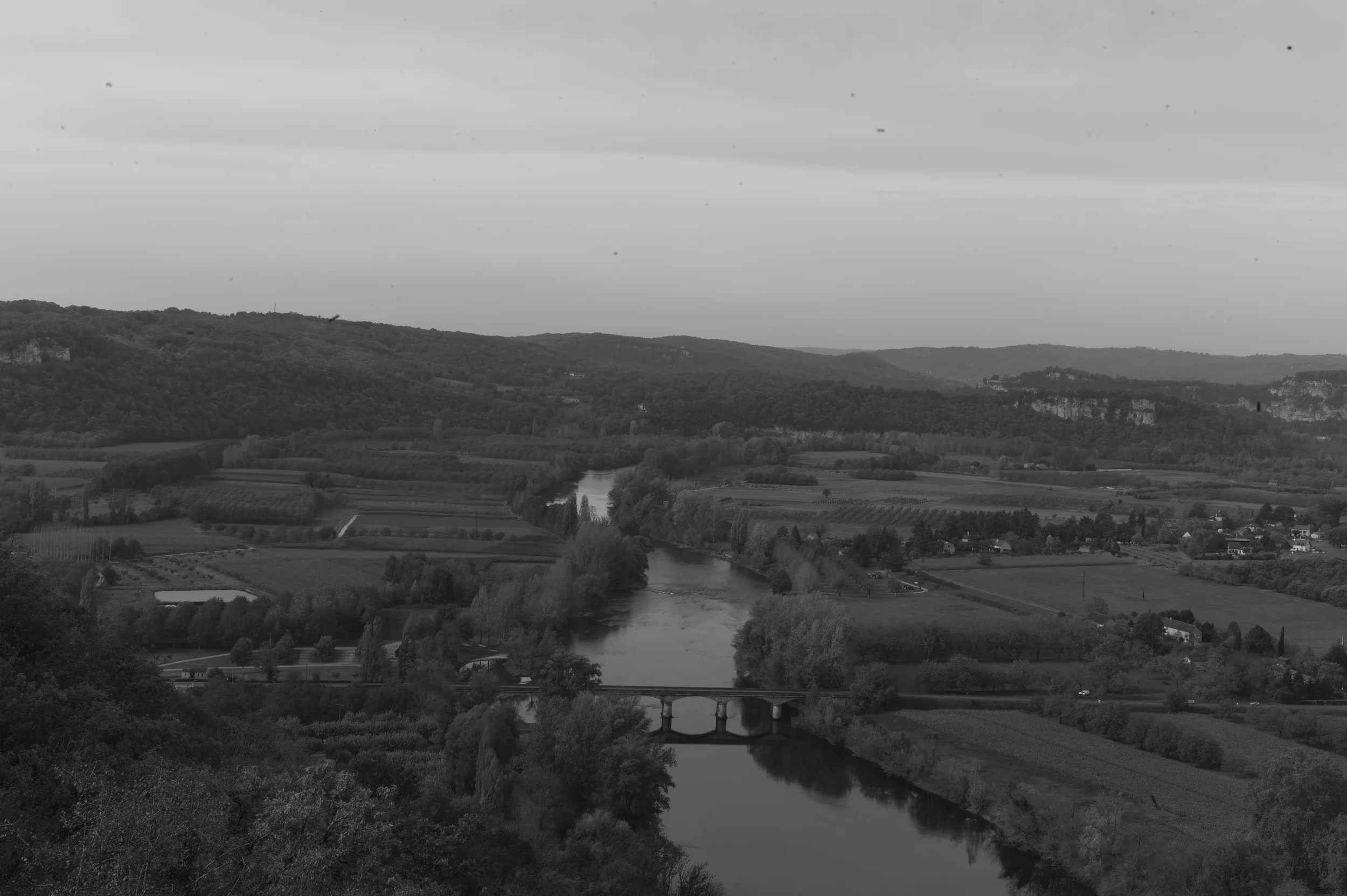 L1001856.jpg