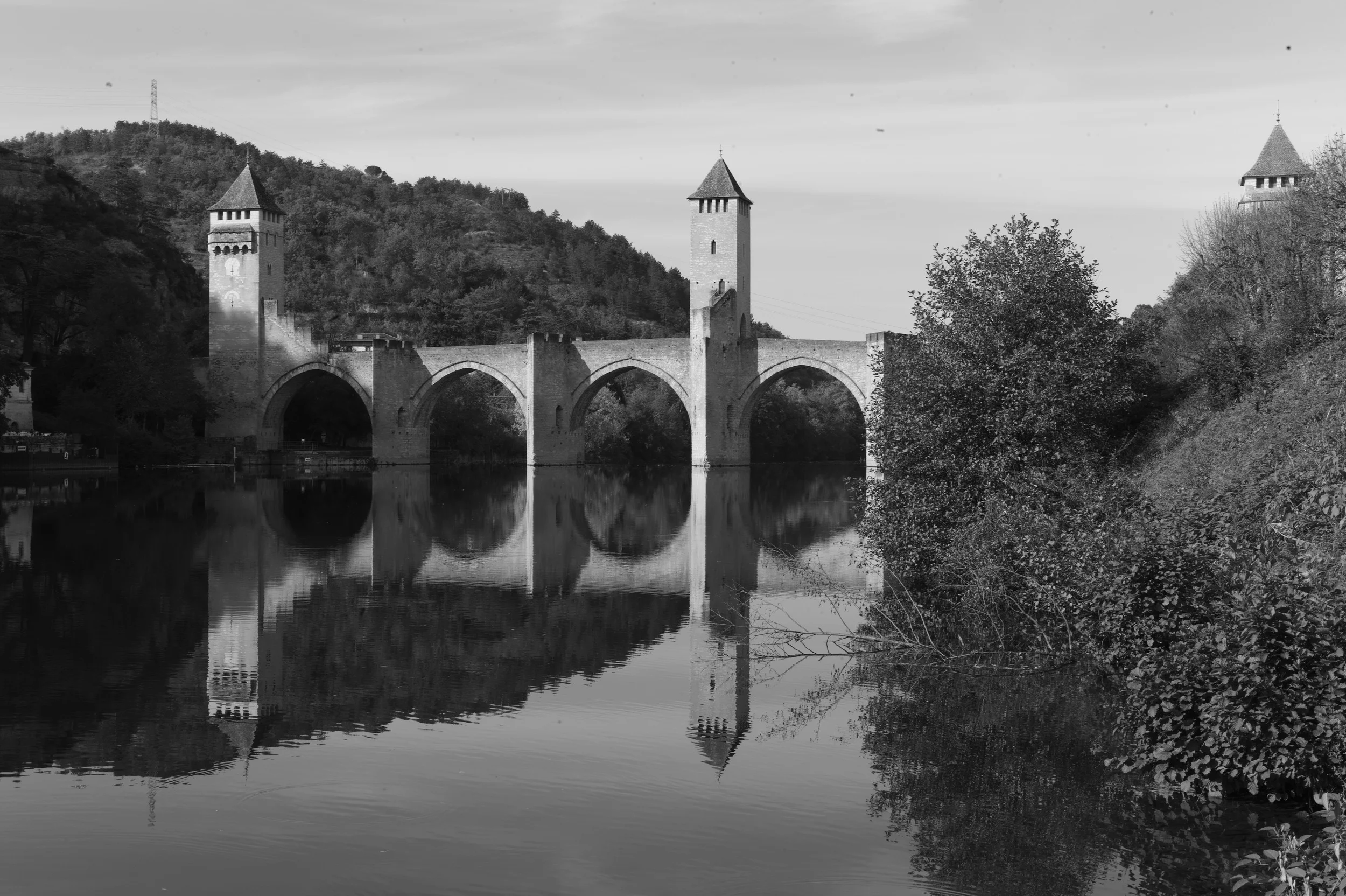 L1001898.jpg