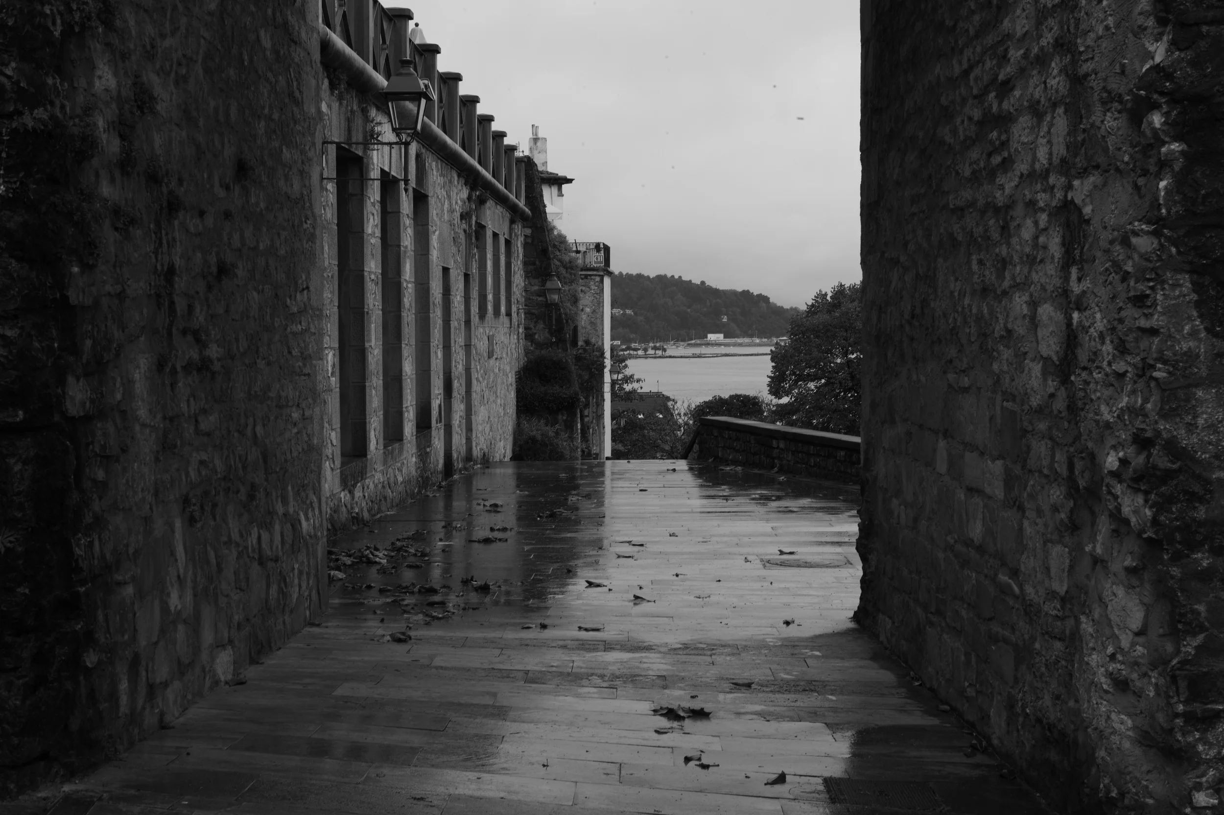 L1001986.jpg