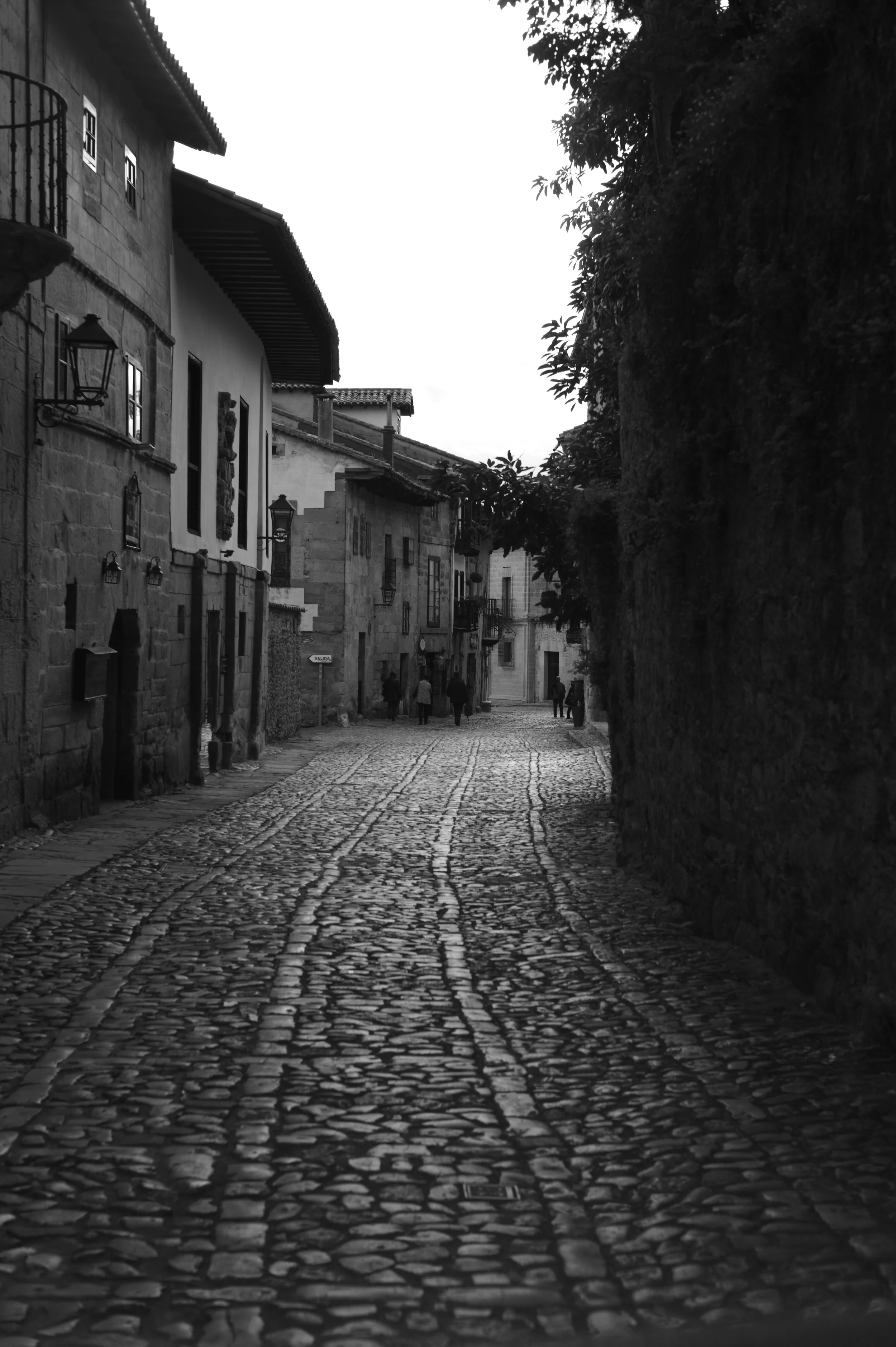 L1002033.jpg