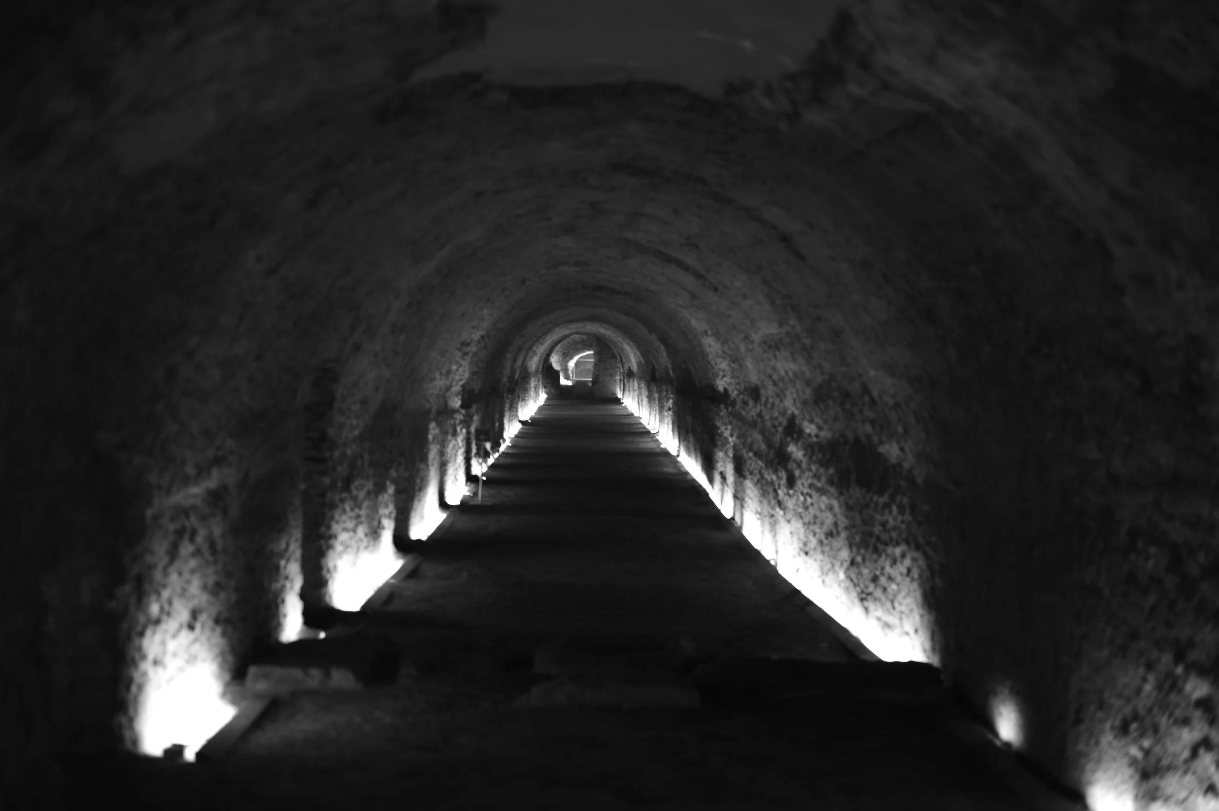 L1002177.jpg