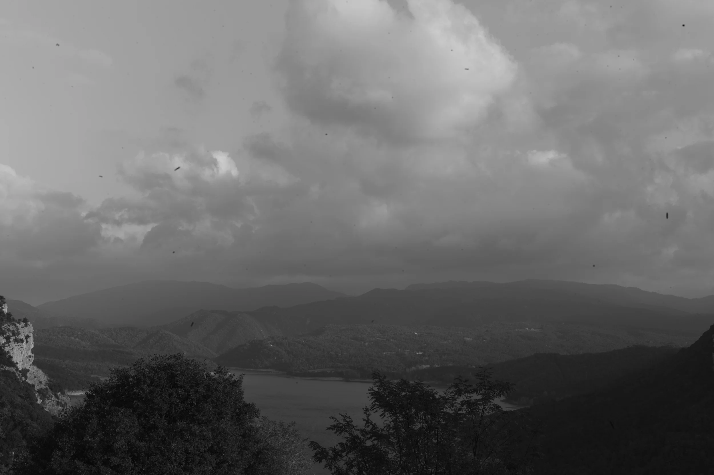 L1002216.jpg