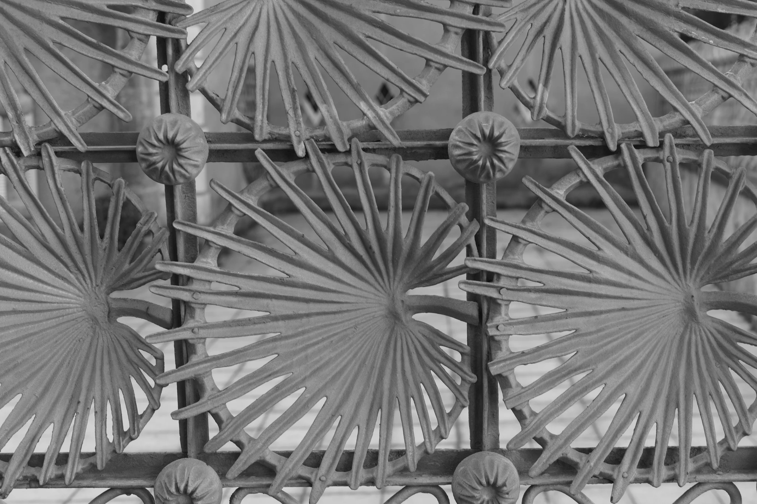 L1002274.jpg