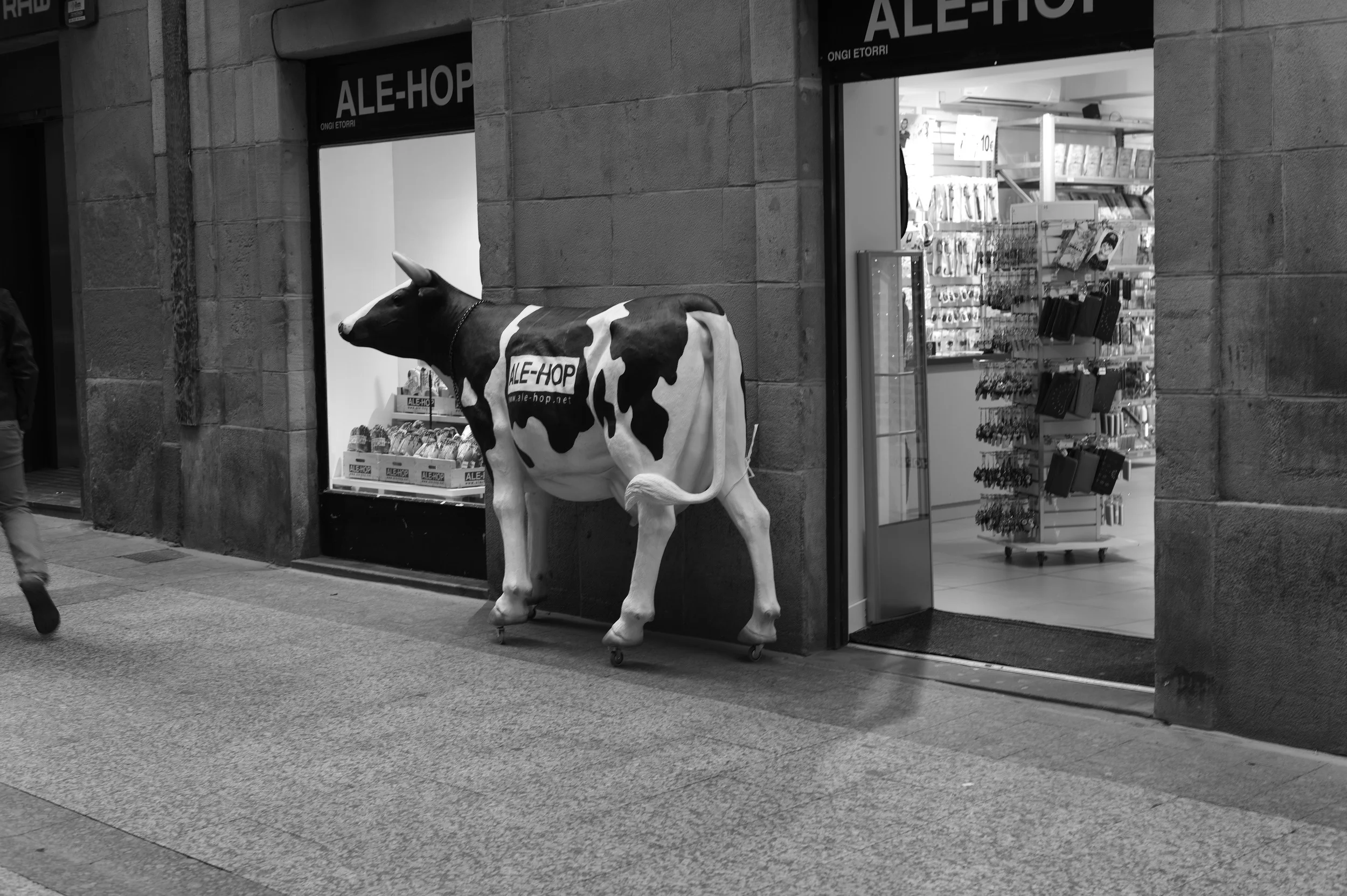 L1001957.jpg