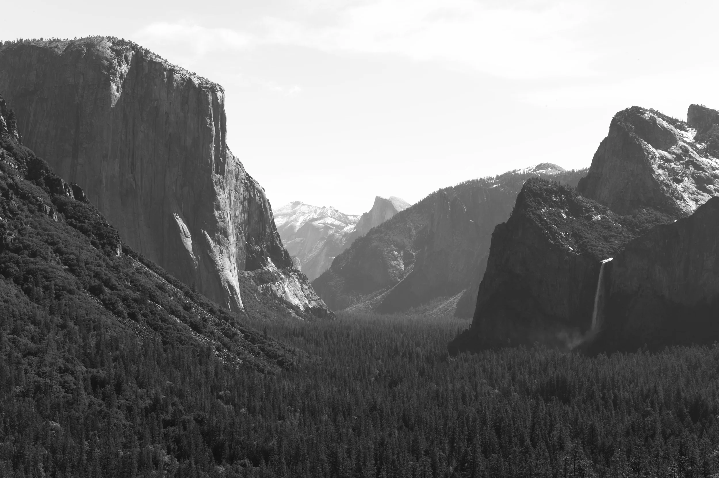 L1002867.jpg