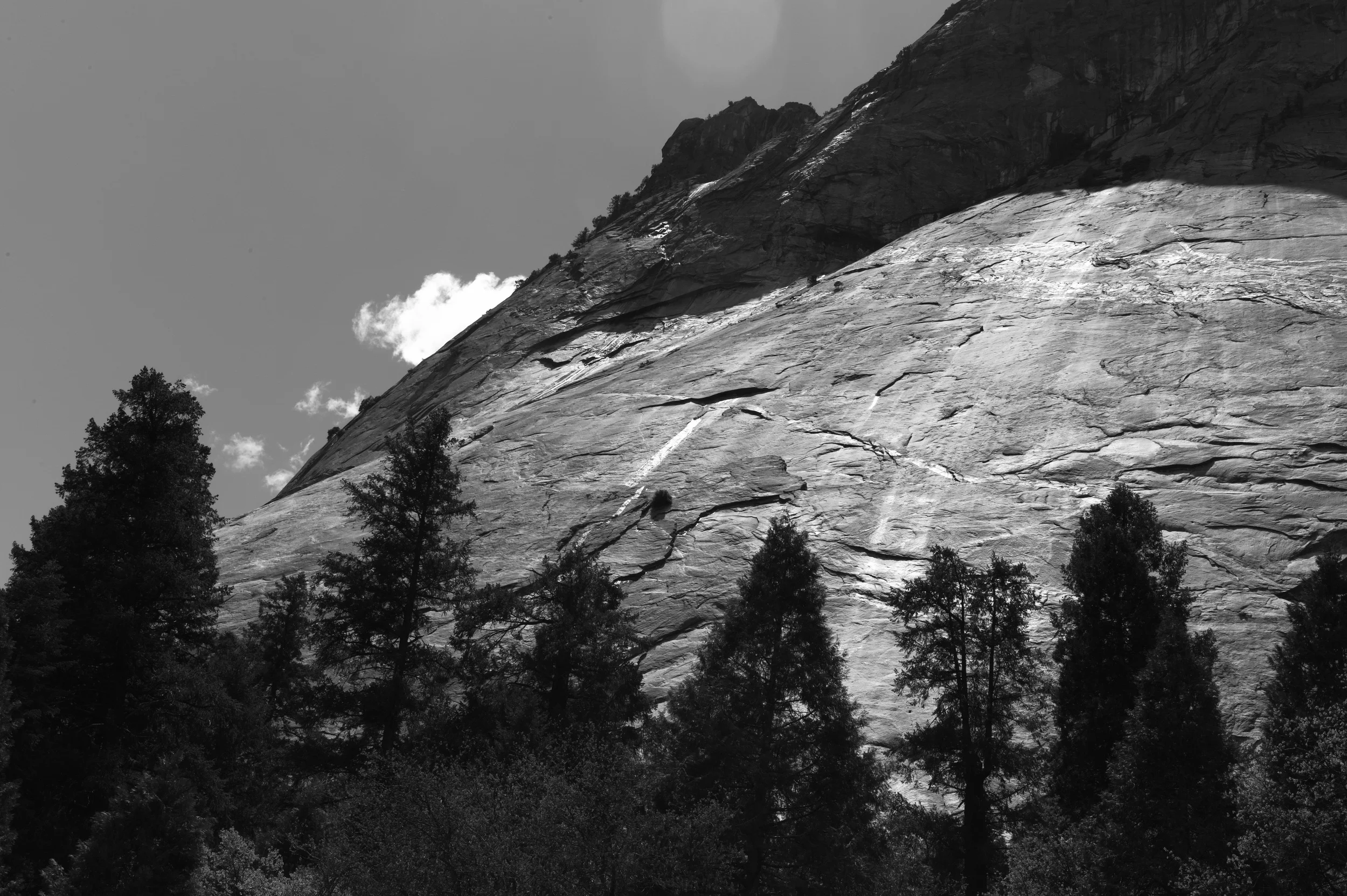 L1002909.jpg