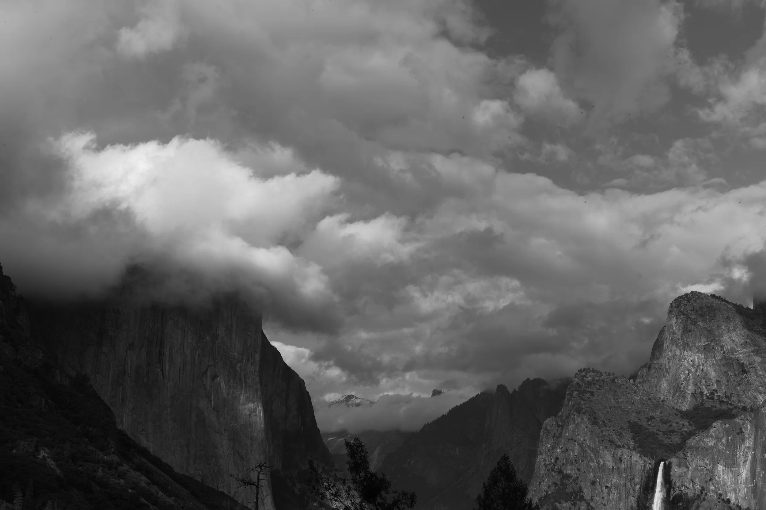 L1003006.jpg