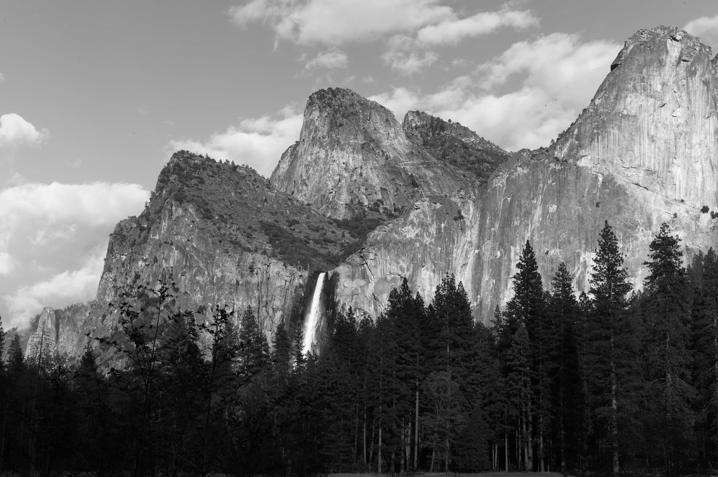 L1003021.jpg