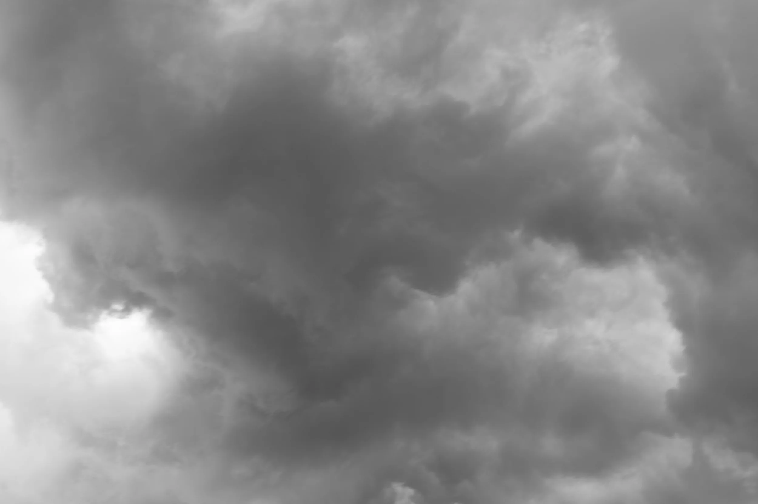 L1003222.jpg