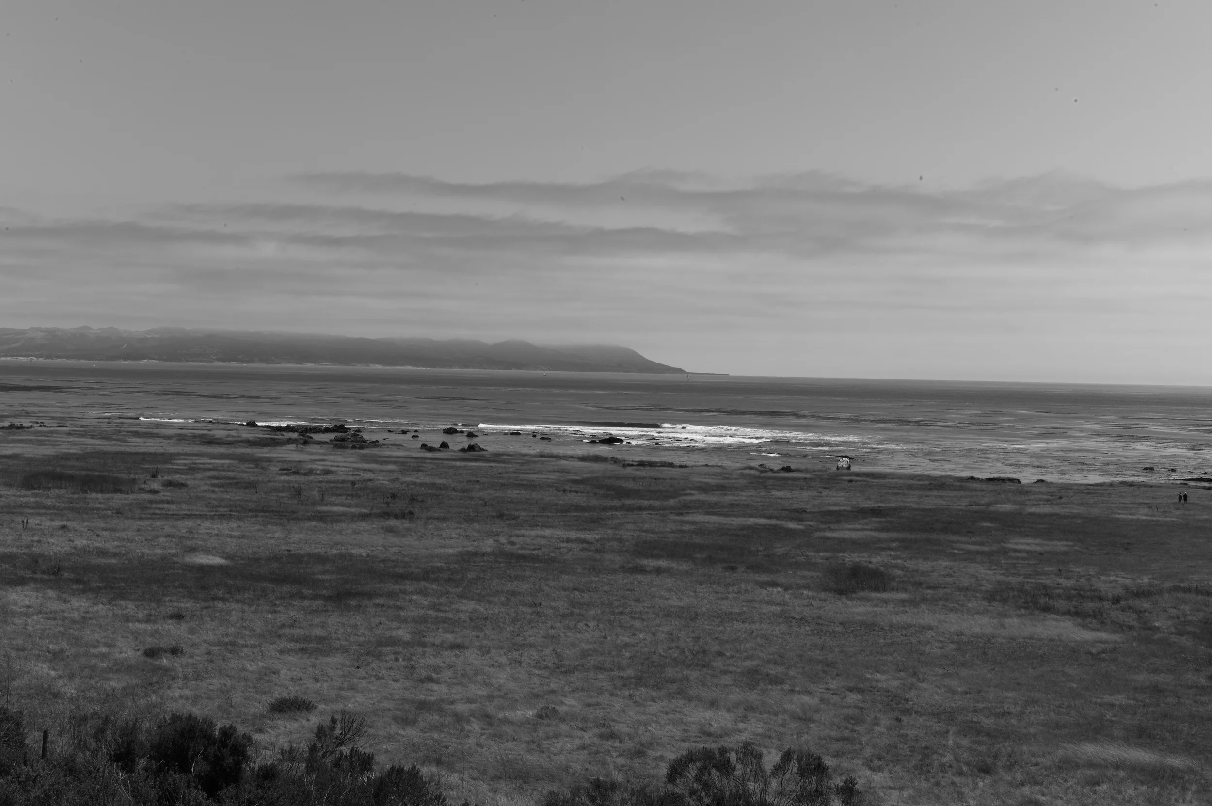 L1003140.jpg