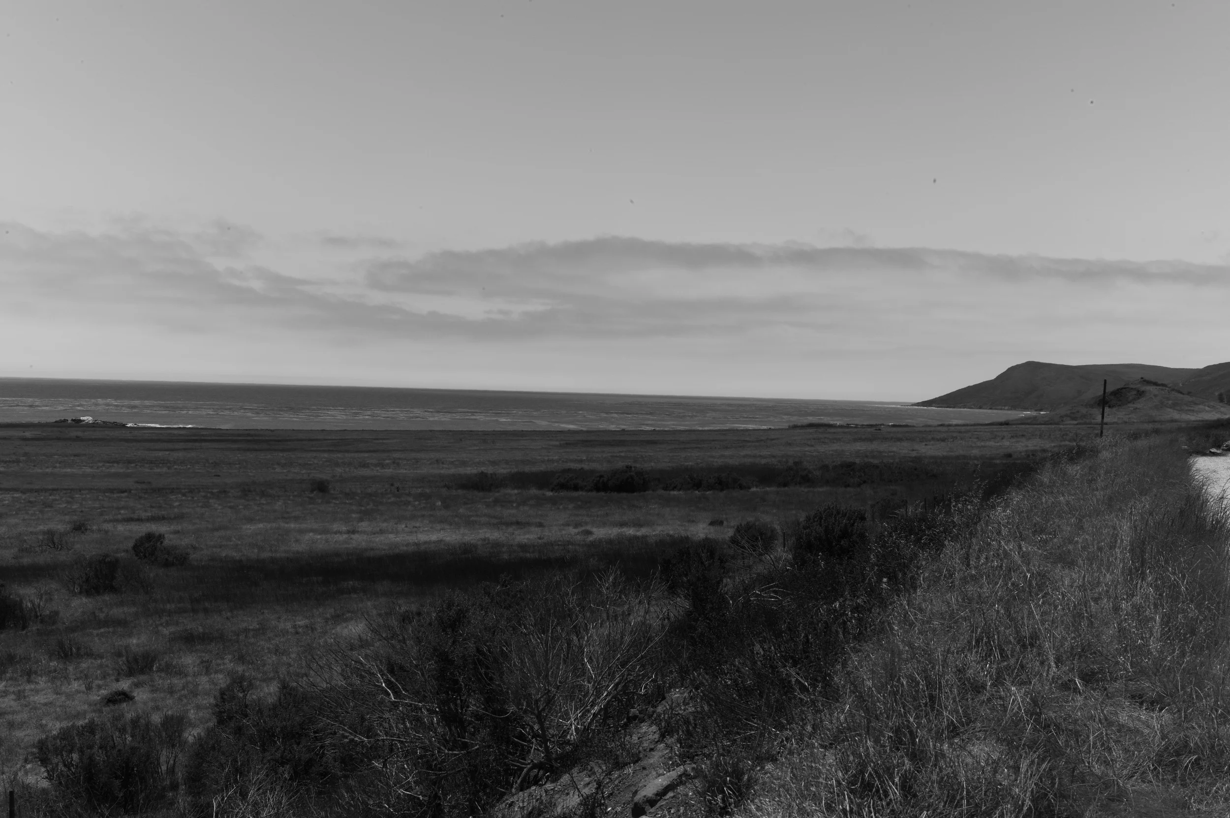 L1003139.jpg