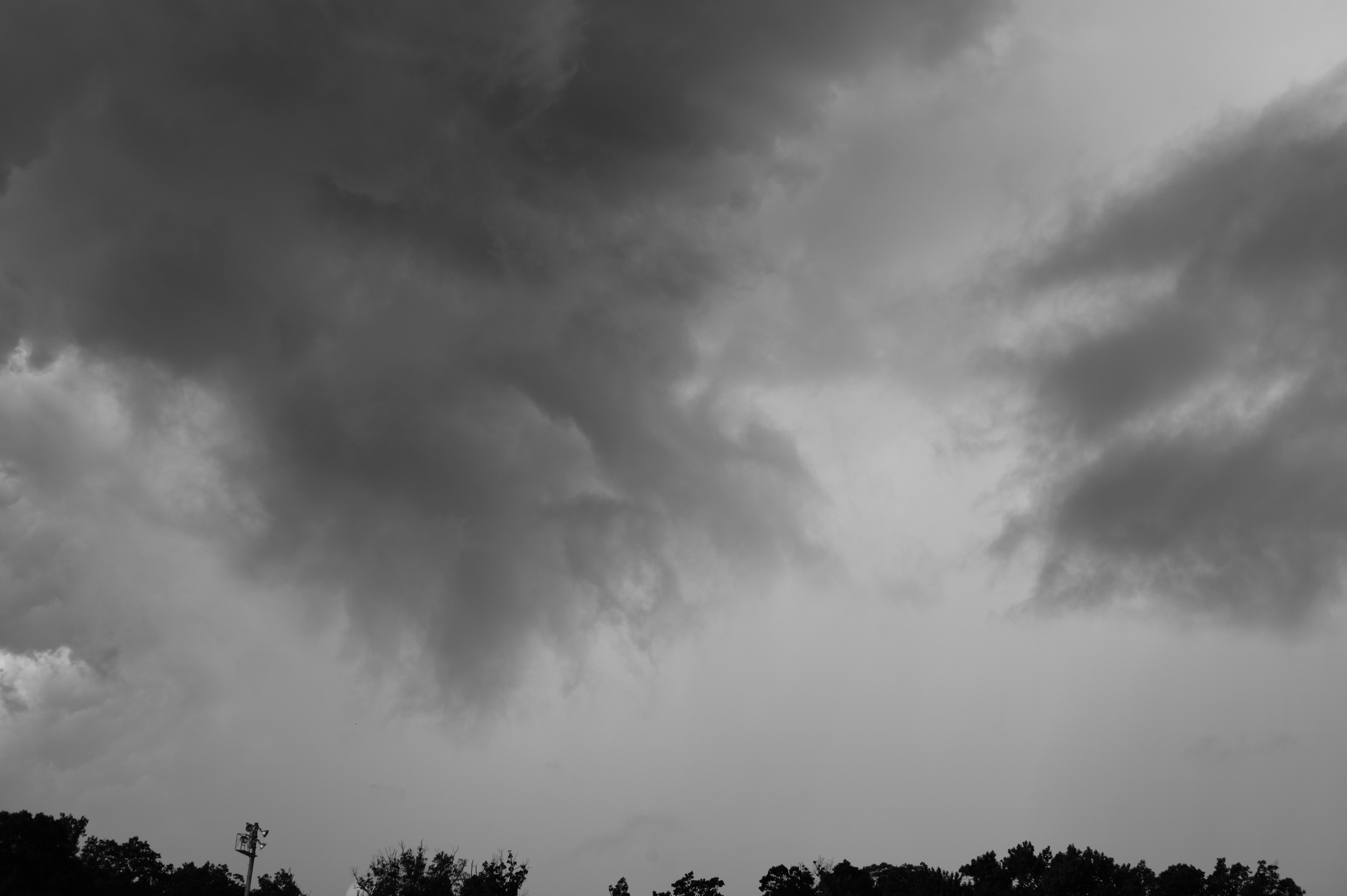 L1003220.jpg