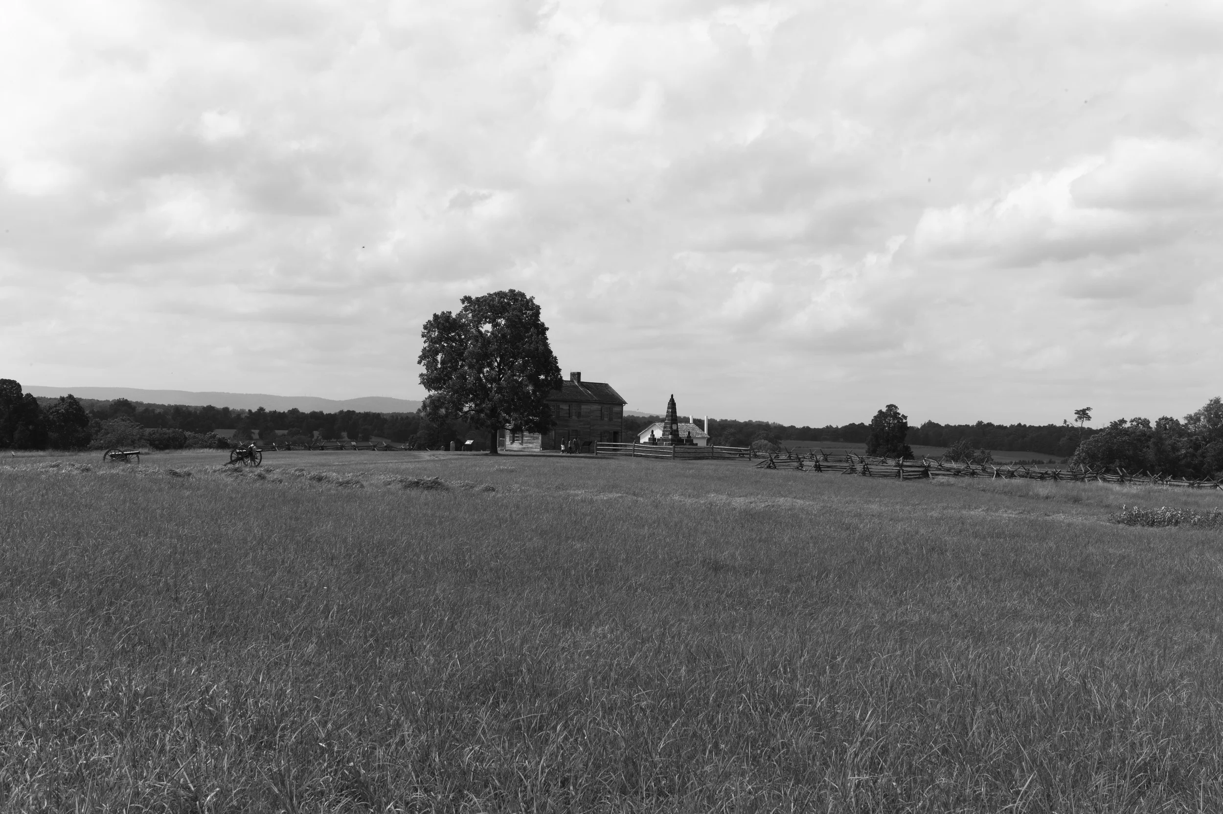 L1003188.jpg