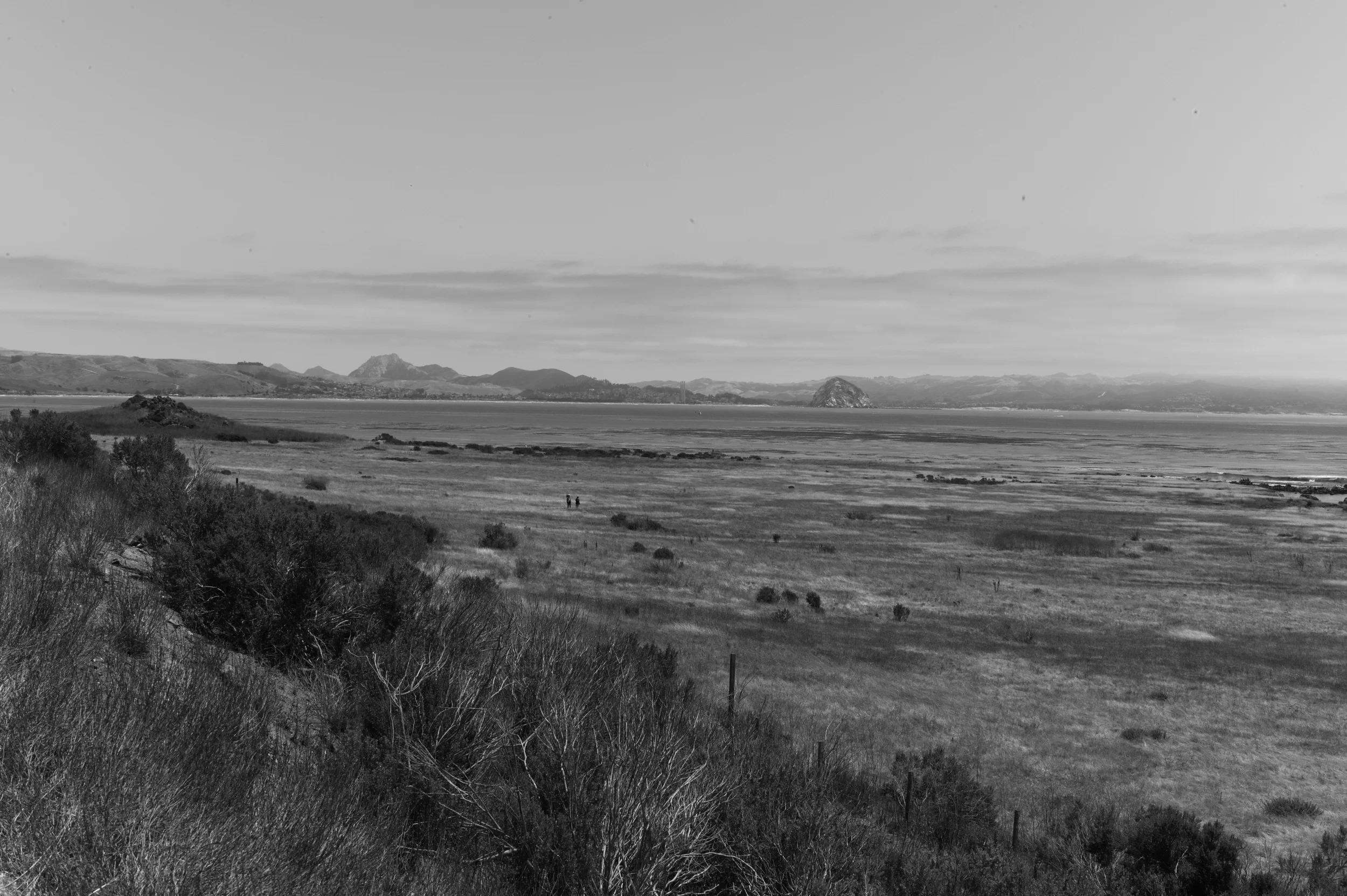 L1003136.jpg